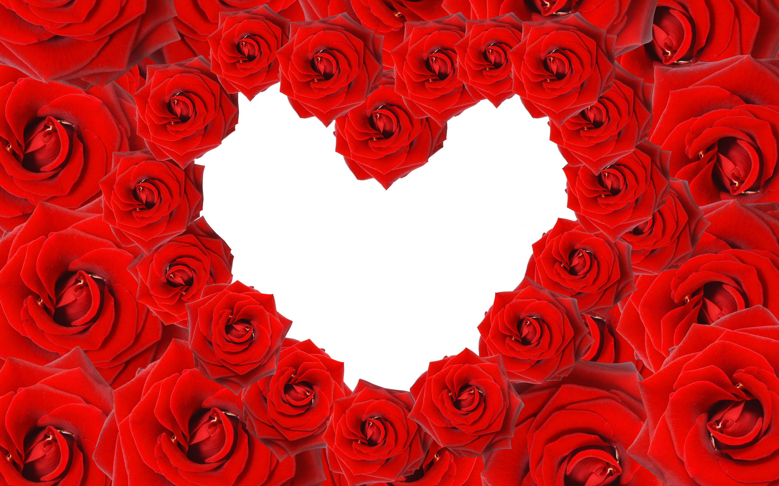 Heart shape made of red roses HD Wallpaper