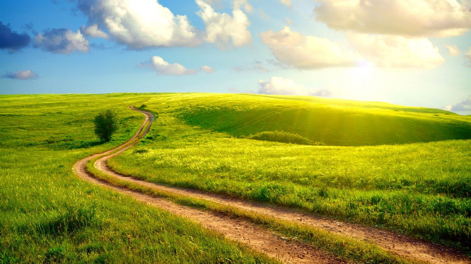 Dirt road winding through a green grassy field under a sunny sky HD Wallpaper