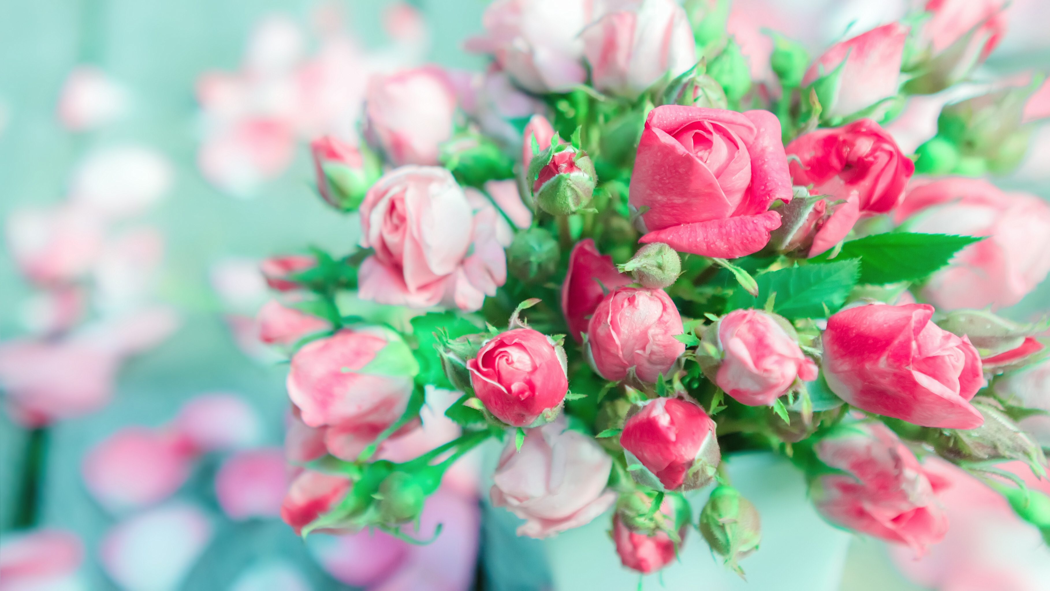 Bouquet of pink and red roses, 4K HD Wallpaper