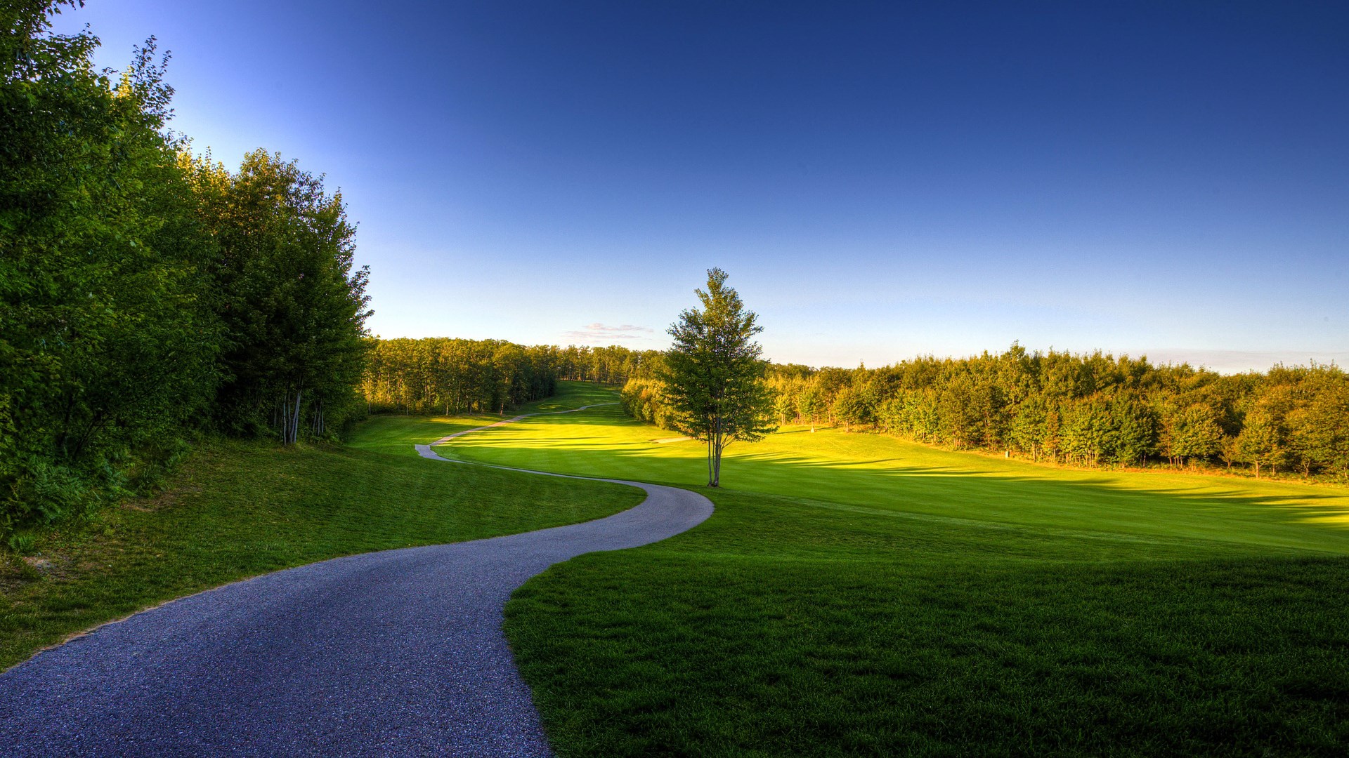 A winding path through a green golf course with trees HD Wallpaper
