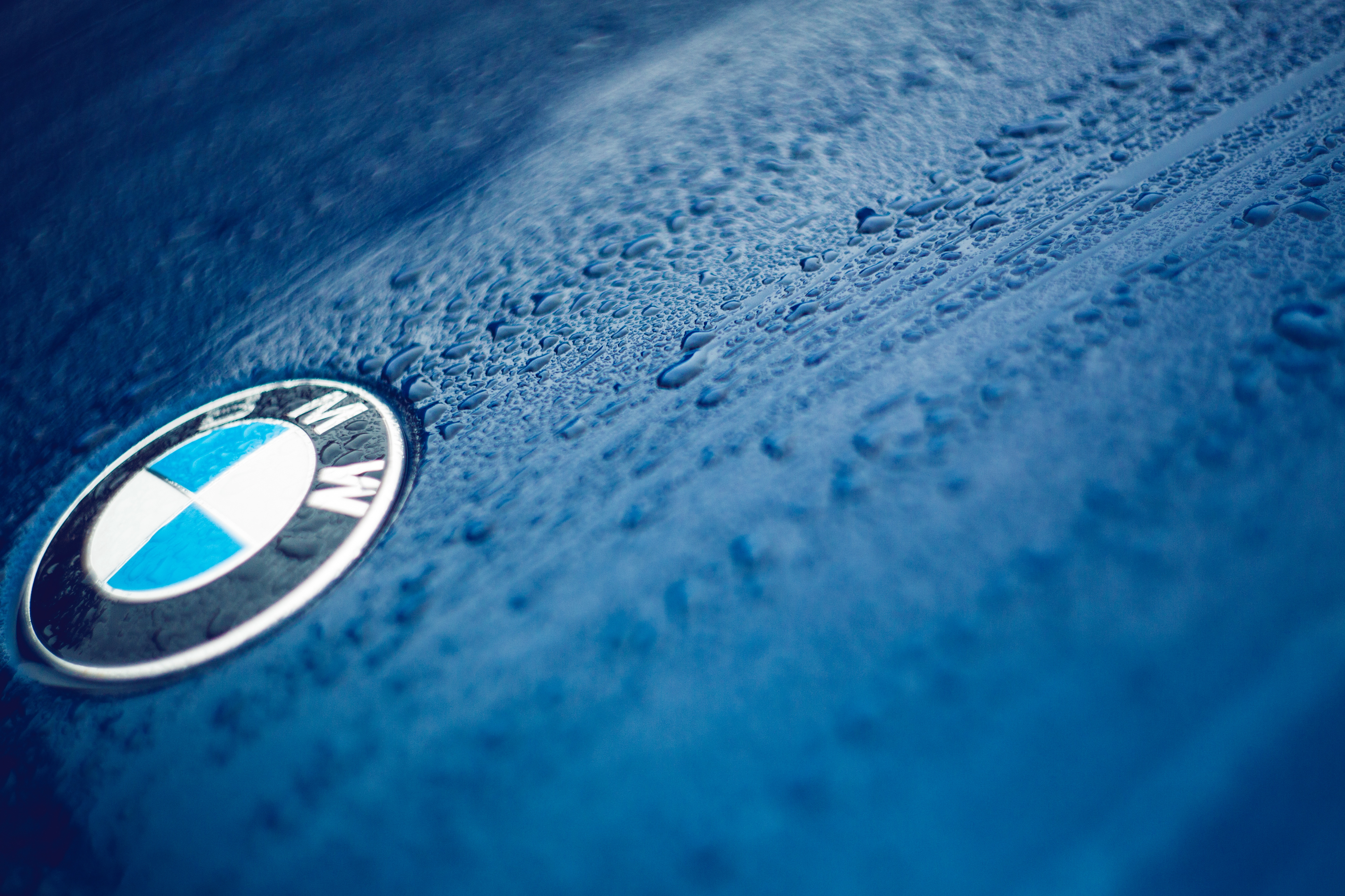 BMW Logo on a Wet Blue Car Hood HD Wallpaper