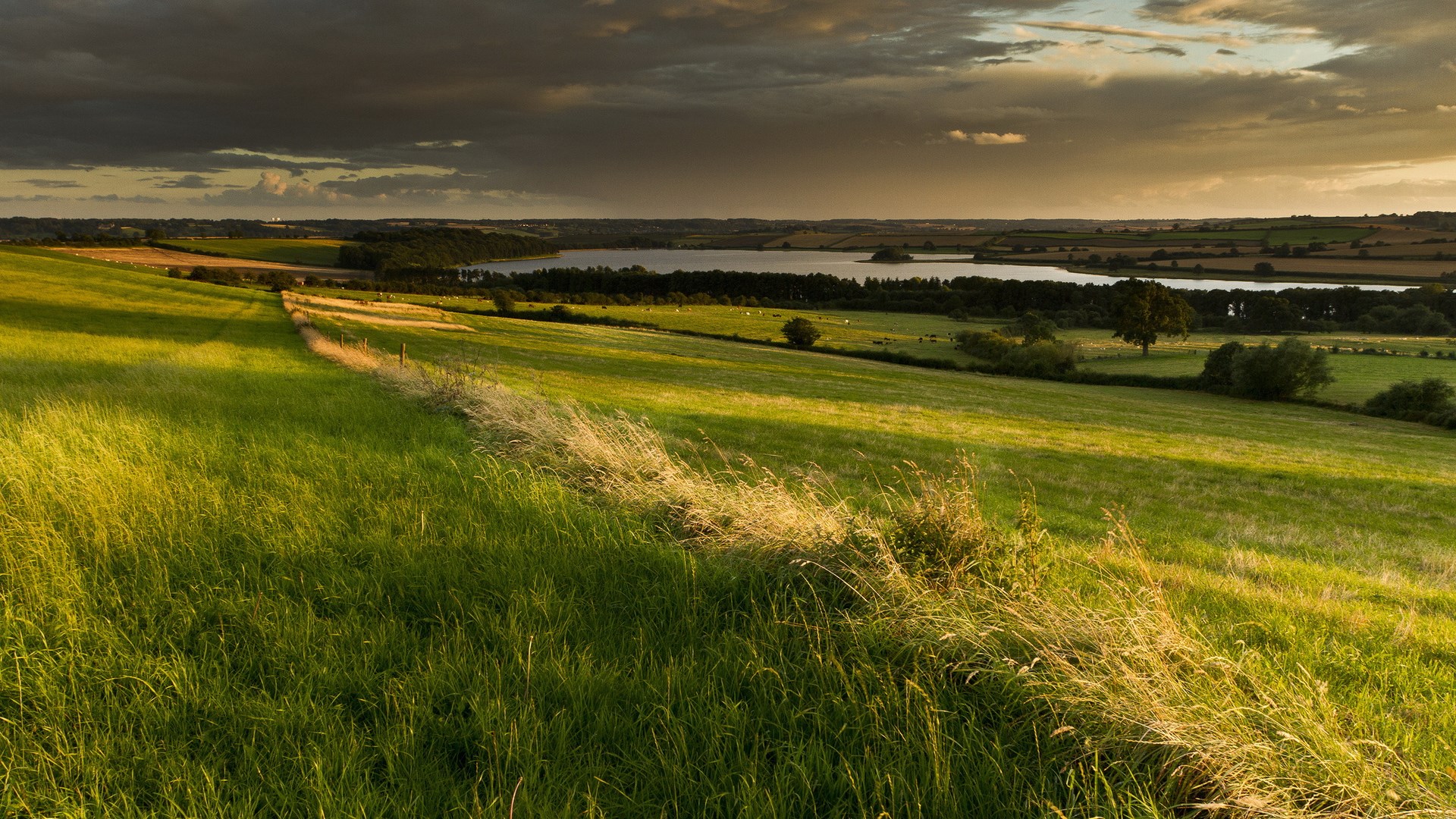 Rolling green hills and a lake under a cloudy sky HD Wallpaper