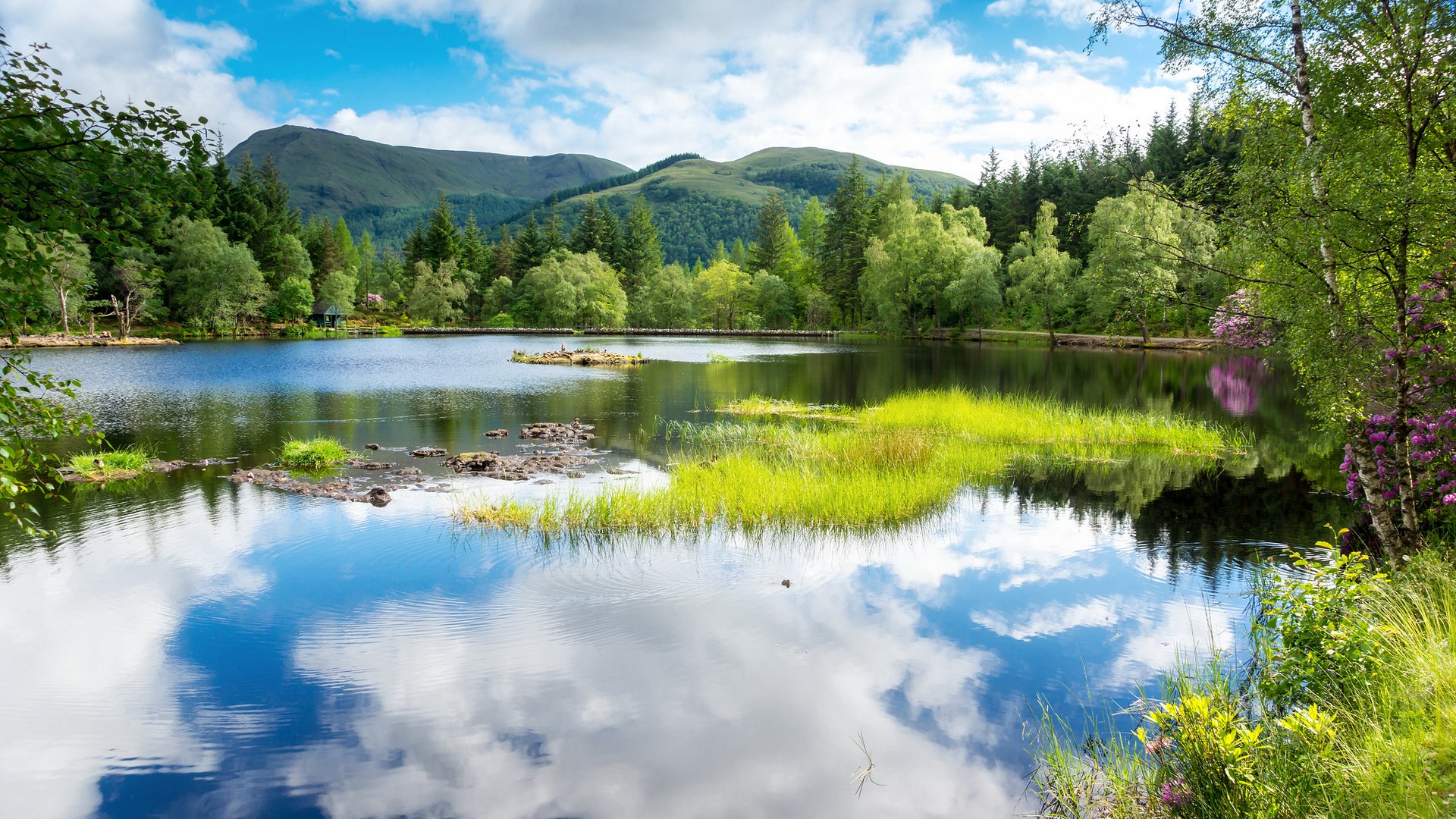 Lake and Mountains with Forest Reflection HD Wallpaper