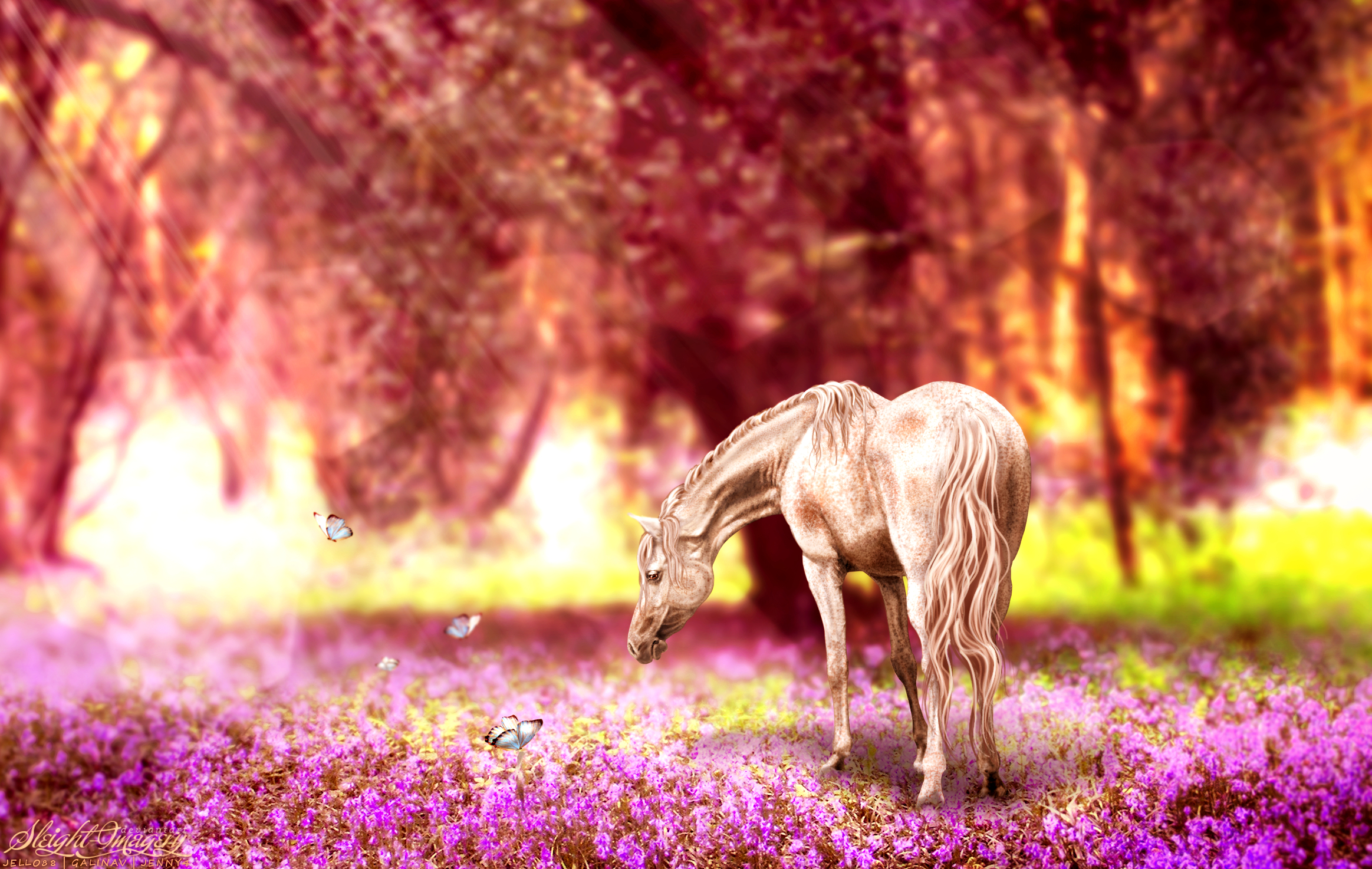 Horse and butterflies in a magical forest HD Wallpaper