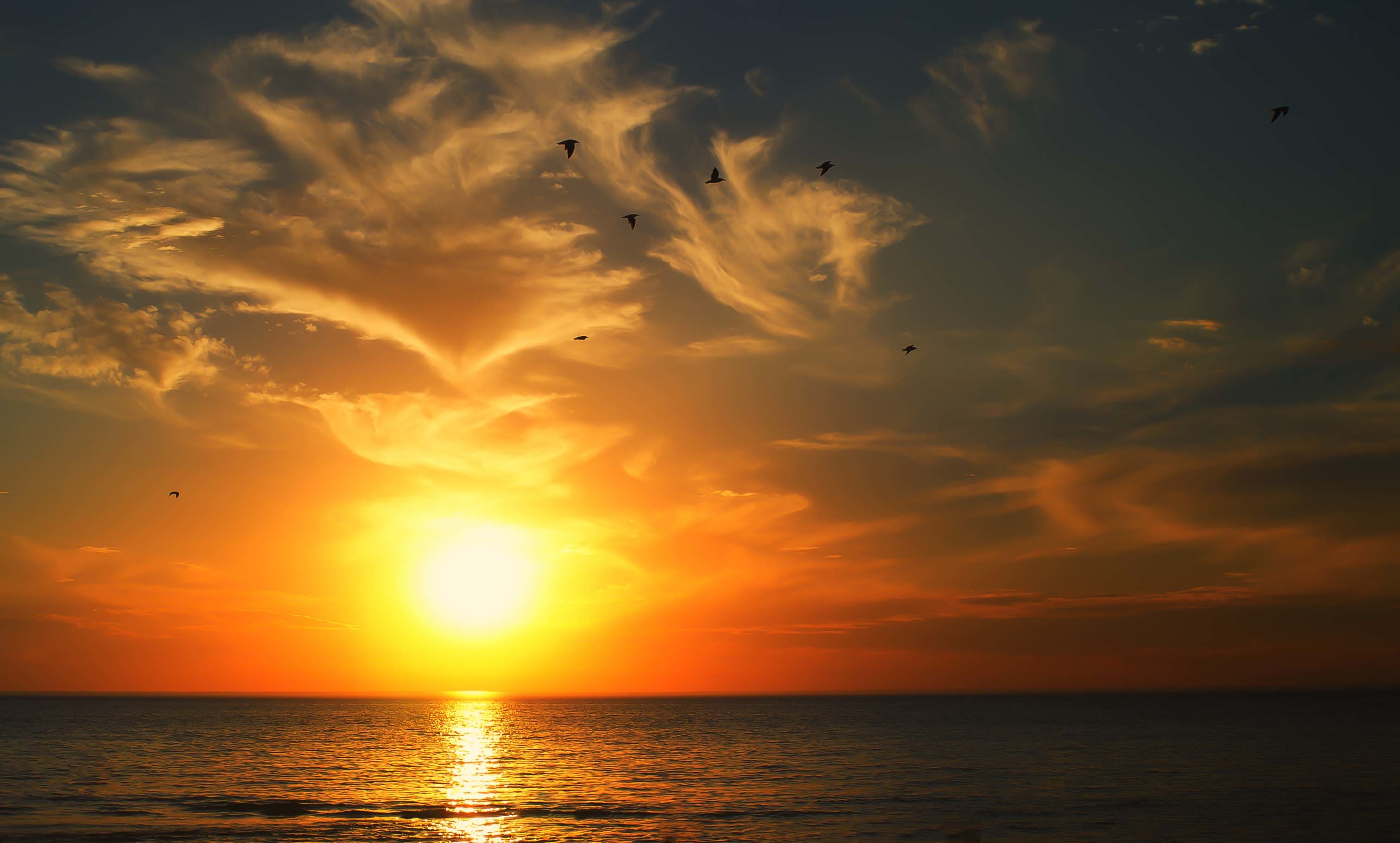 Sunrise over the sea with birds flying HD Wallpaper