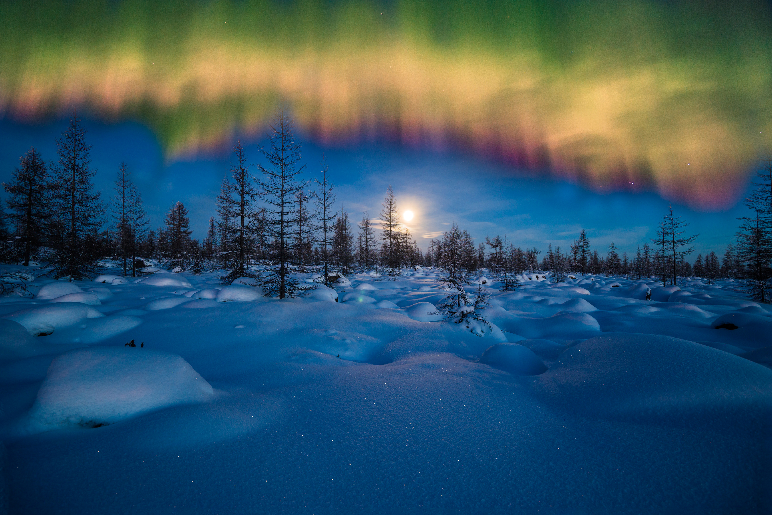 Aurora Borealis over a snowy forest with moon HD Wallpaper