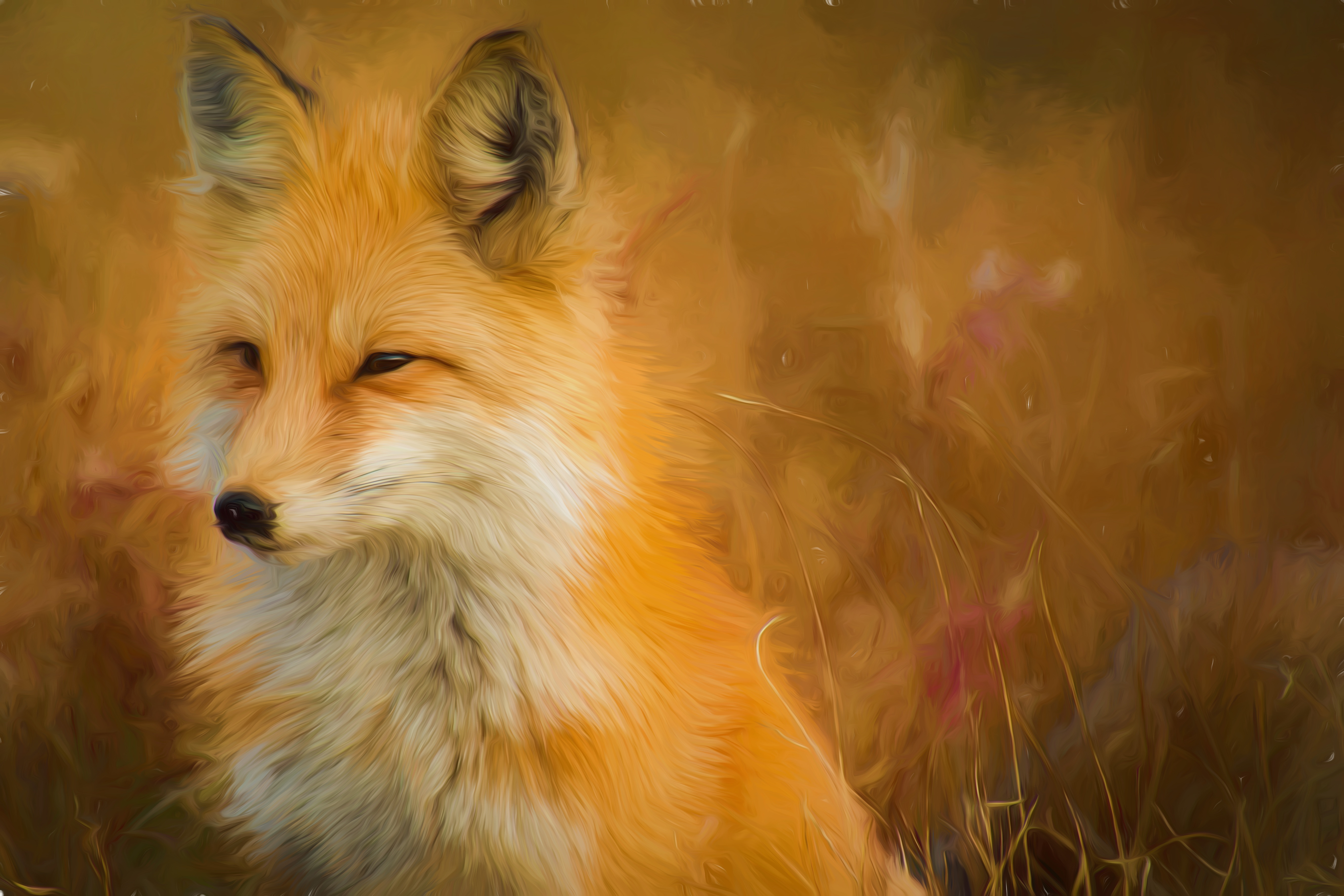 Oil Painting of a Red Fox in Tall Grass HD Wallpaper