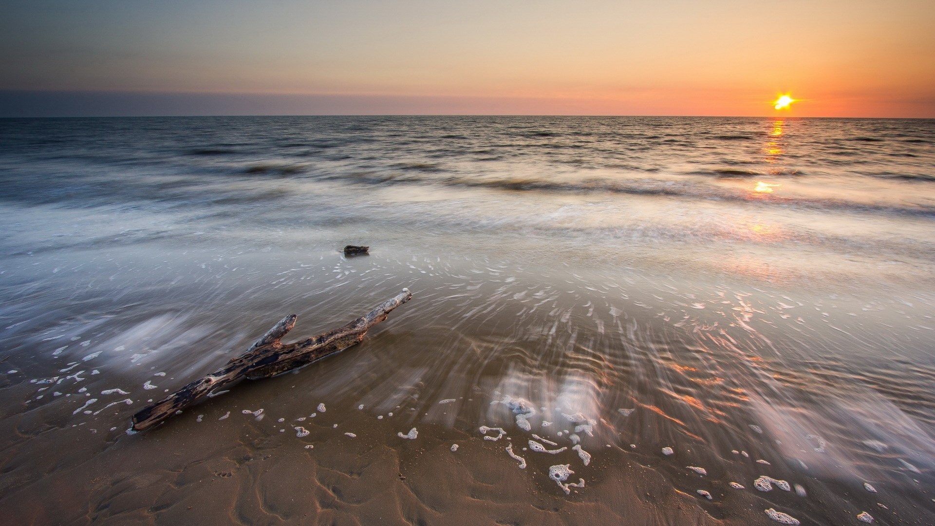 Sunset over the ocean with driftwood on the beach HD Wallpaper