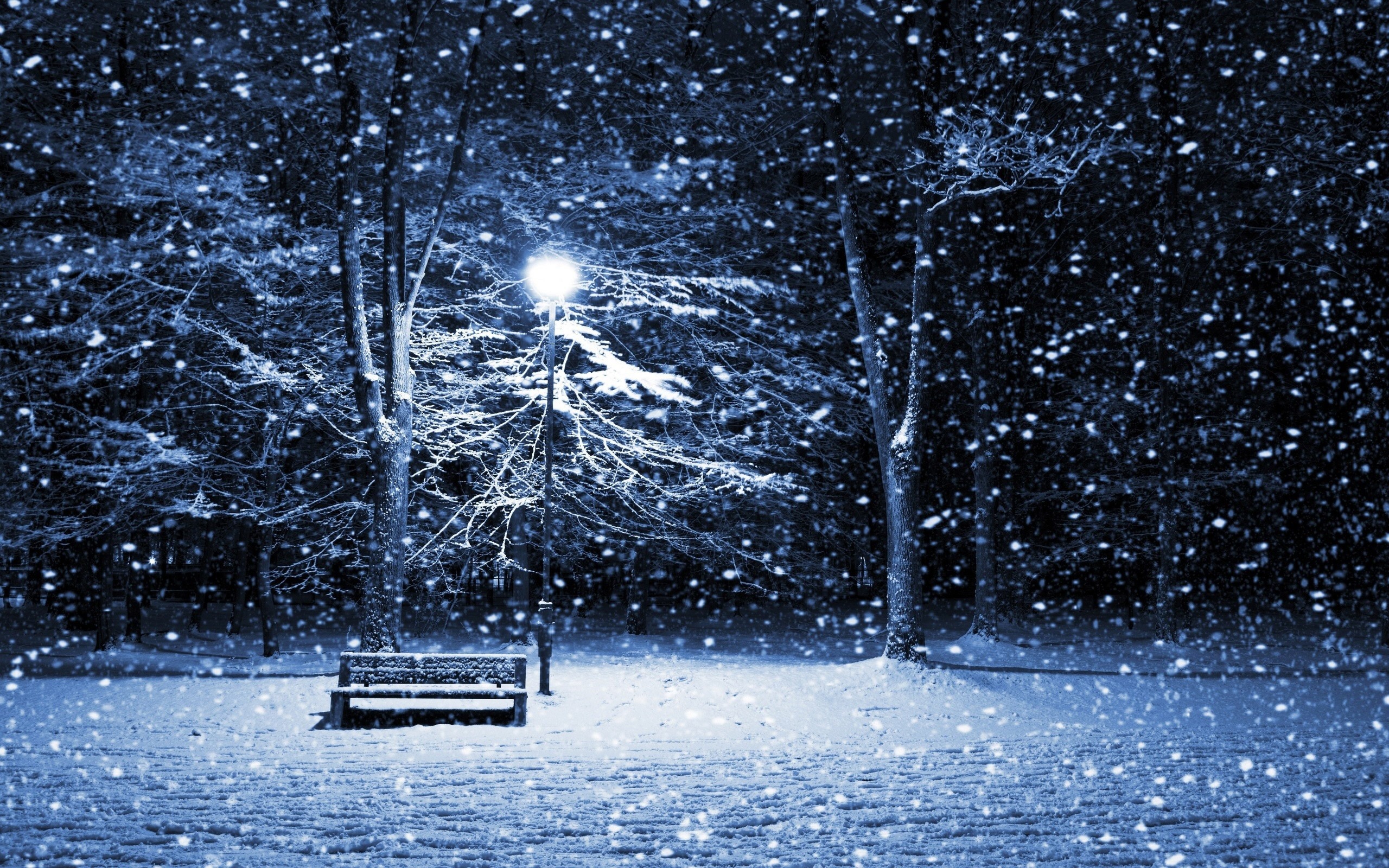 Snowy park at night with a bench and lamppost HD Wallpaper