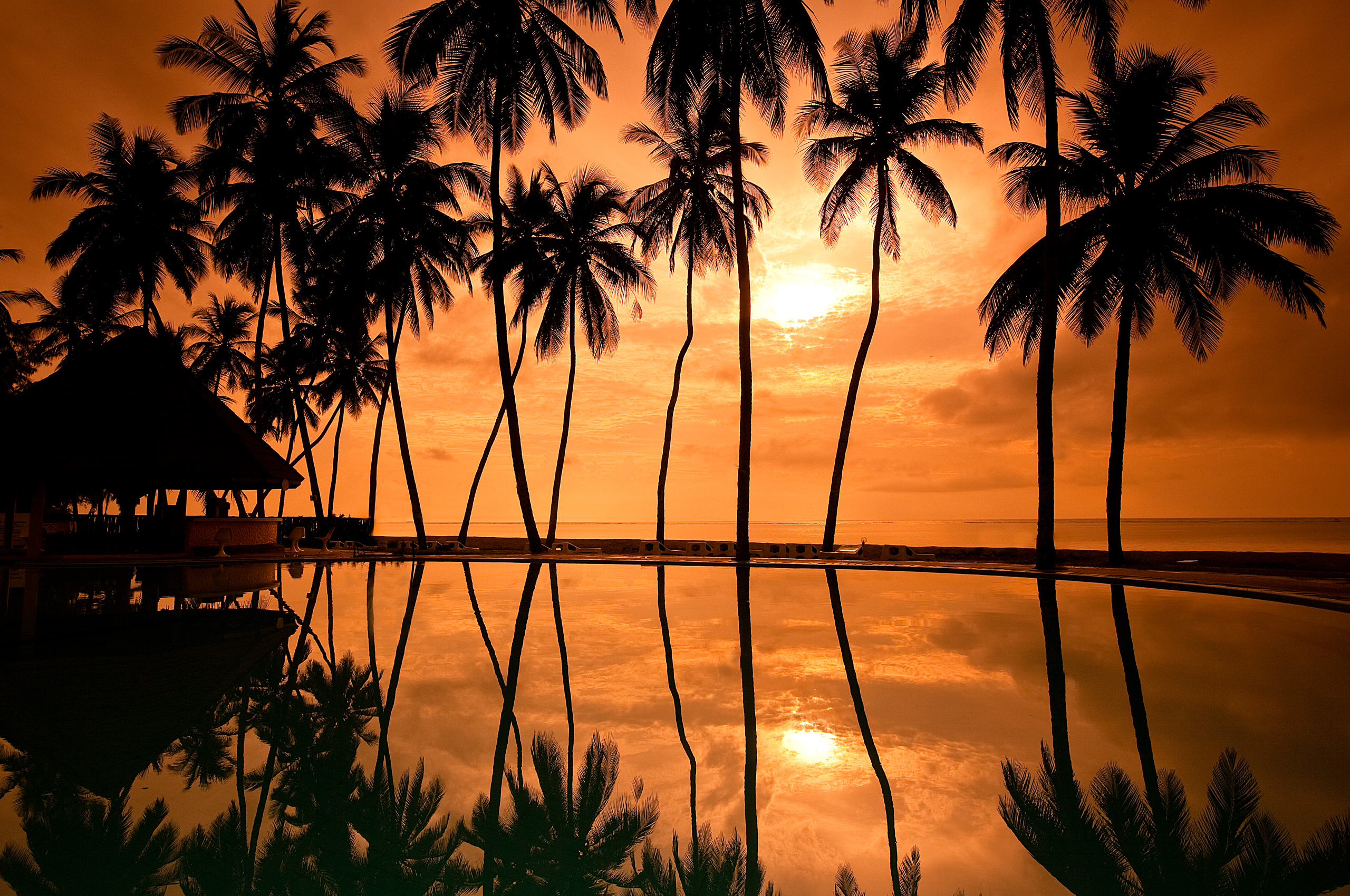 Resort, Palm tress, Coast, Sunset HD Wallpaper