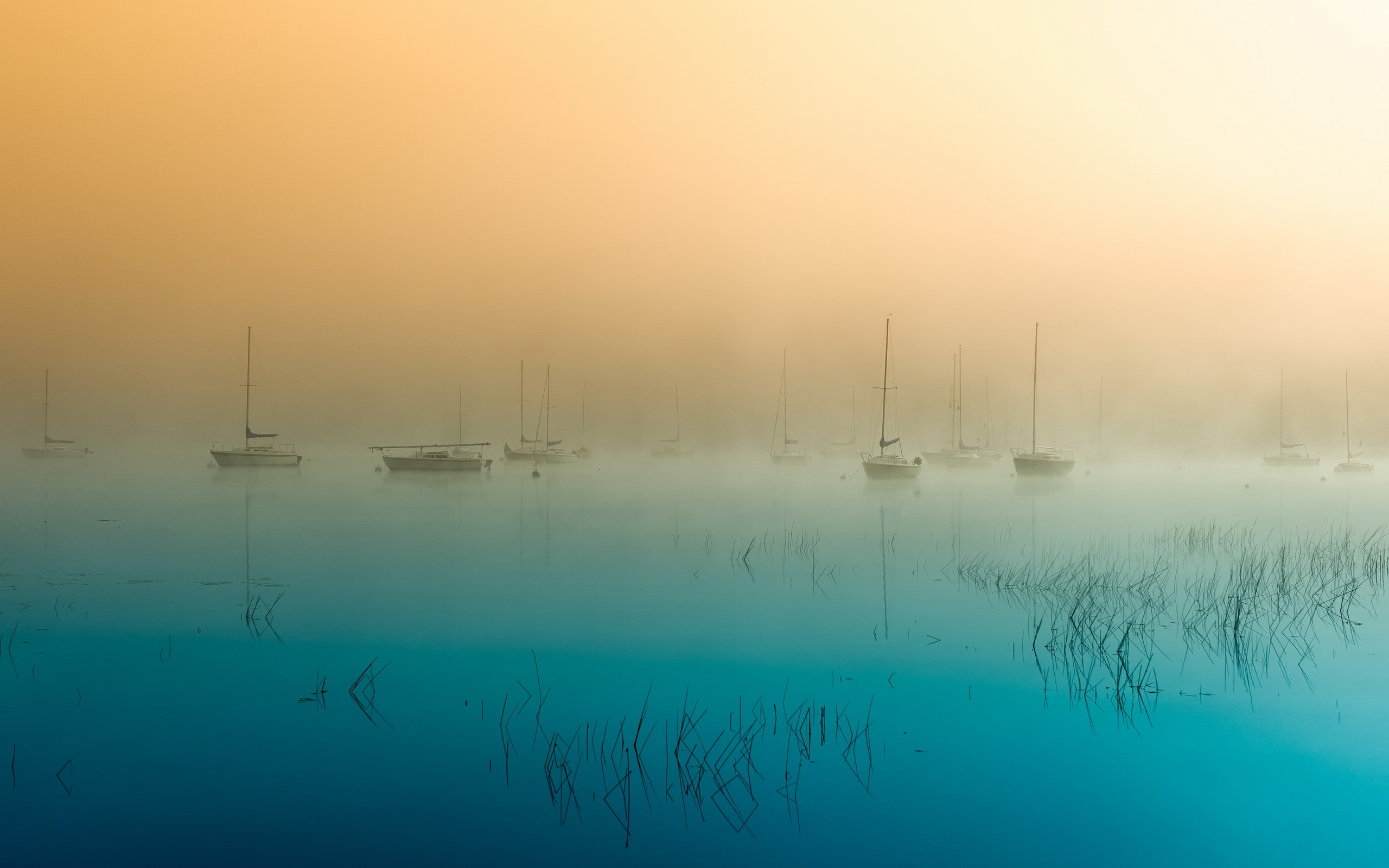 Morning, Fog, Lake, Boats HD Wallpaper