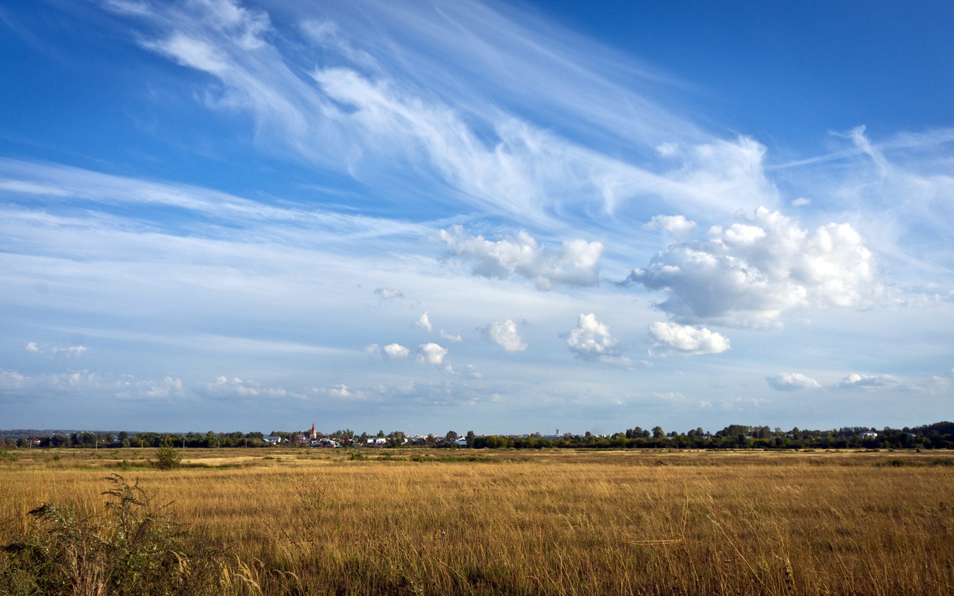 Golden field with village and wispy clouds HD Wallpaper