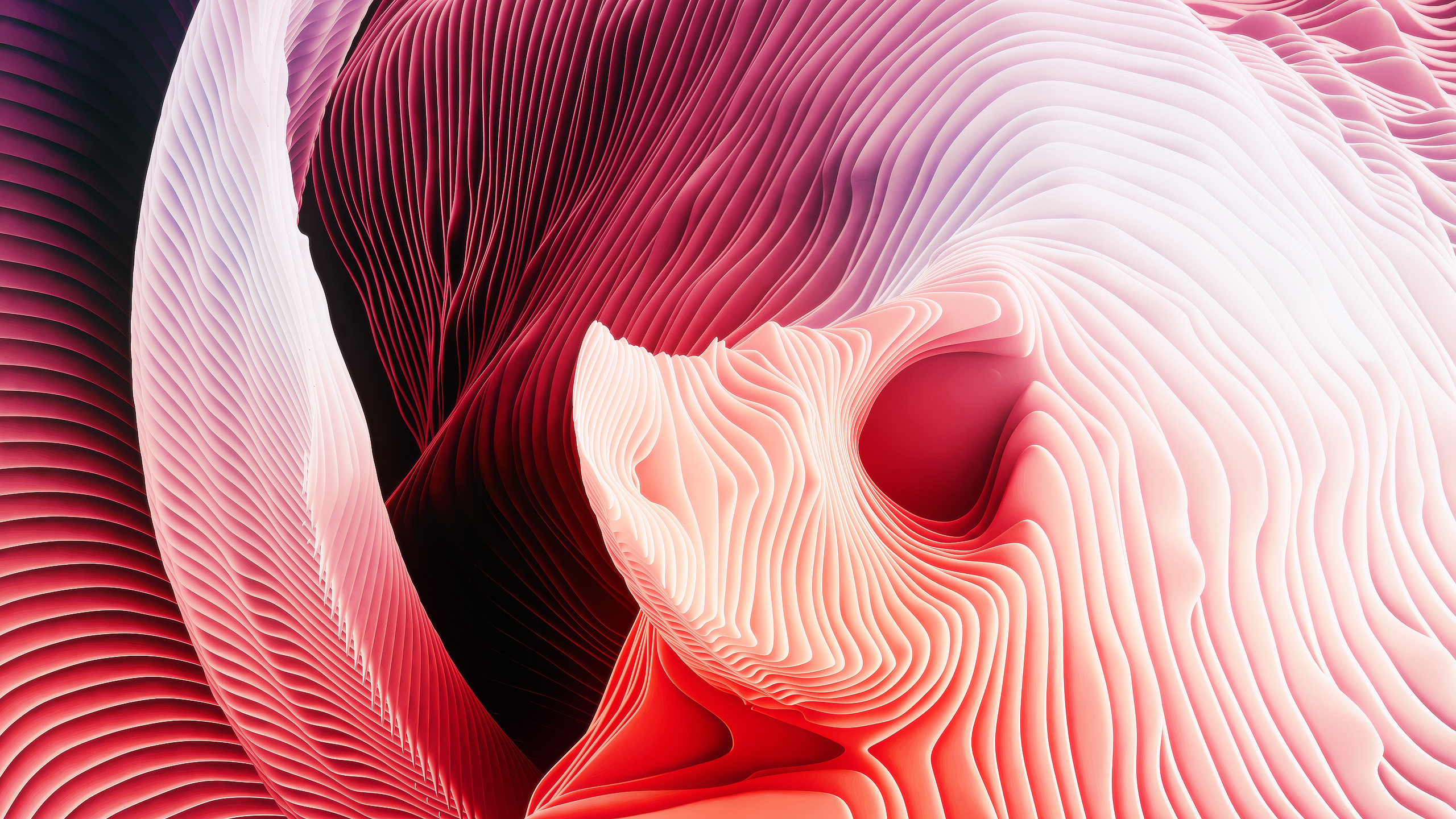 Abstract 3D pink and red spiral forms HD Wallpaper
