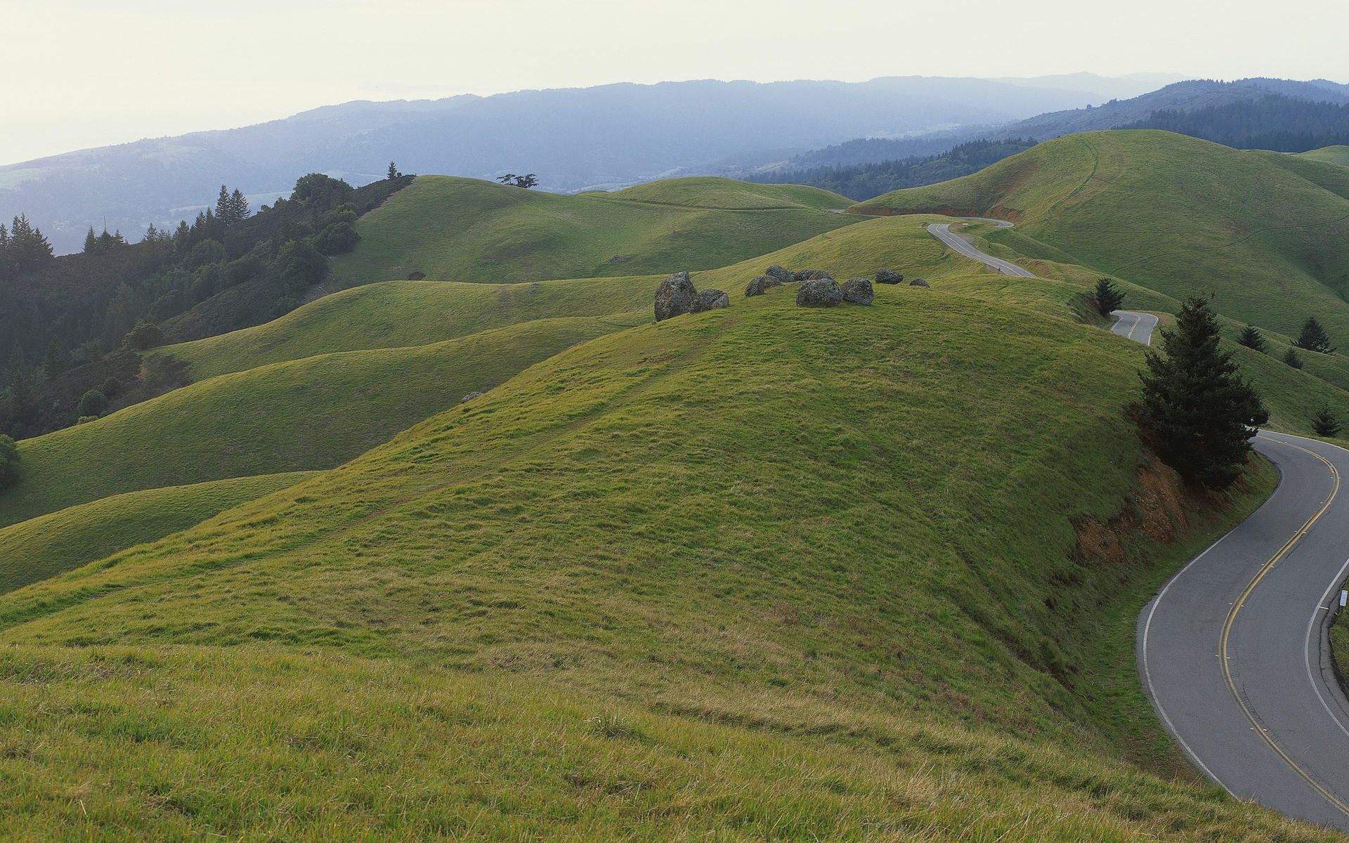 Winding road through rolling green hills HD Wallpaper