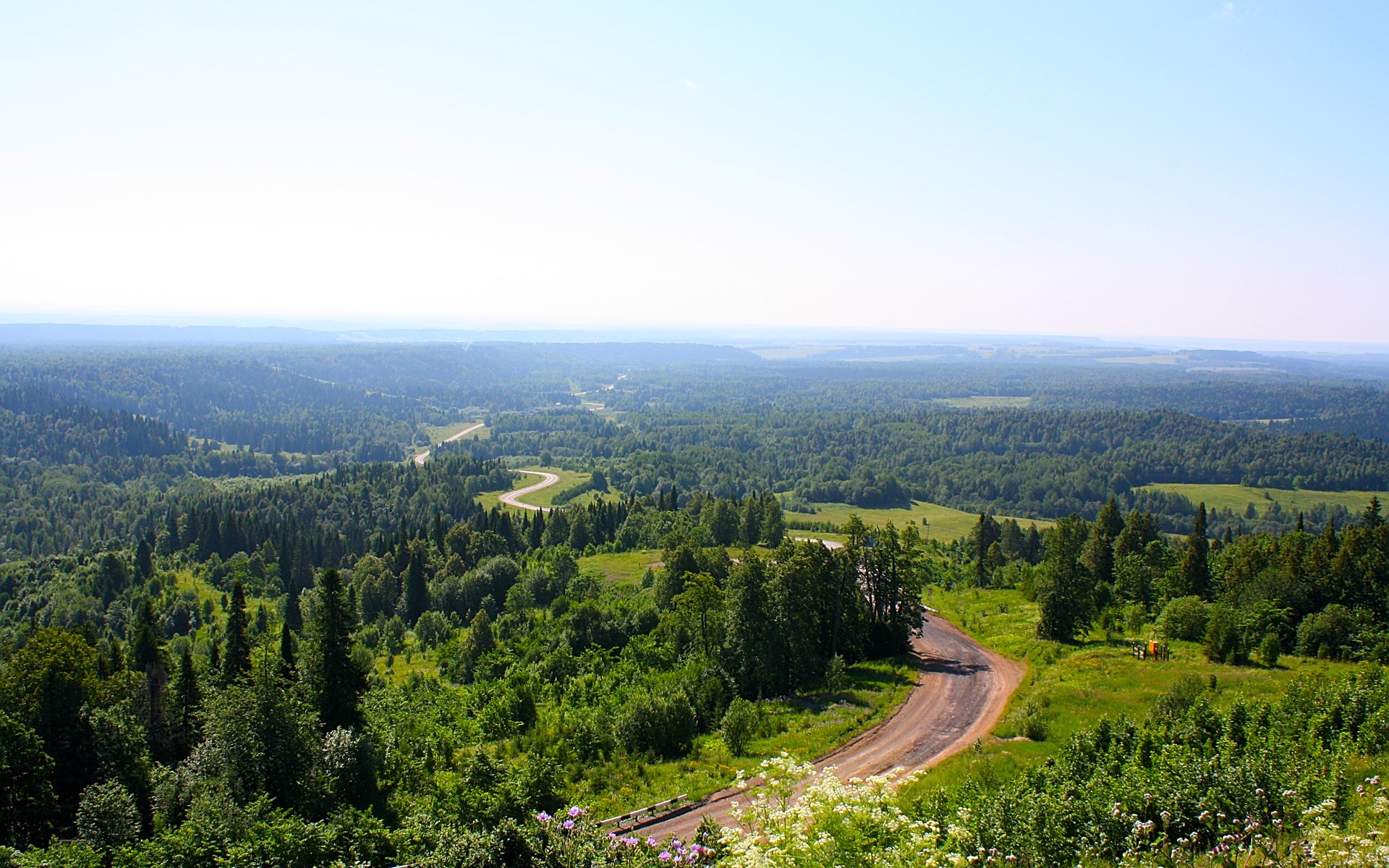 Winding road through a vast green forest landscape HD Wallpaper
