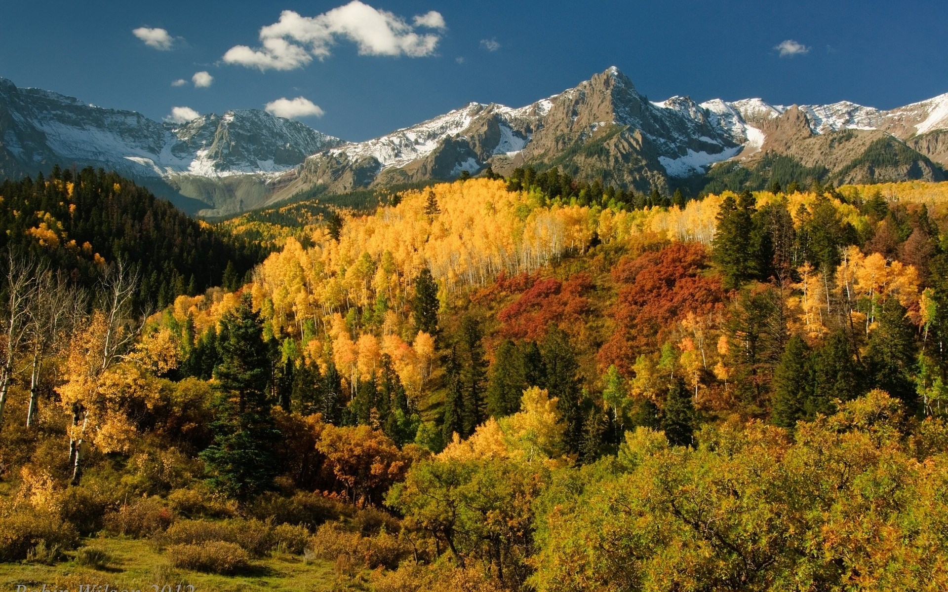 Autumn Mountain Landscape with Colorful Trees HD Wallpaper