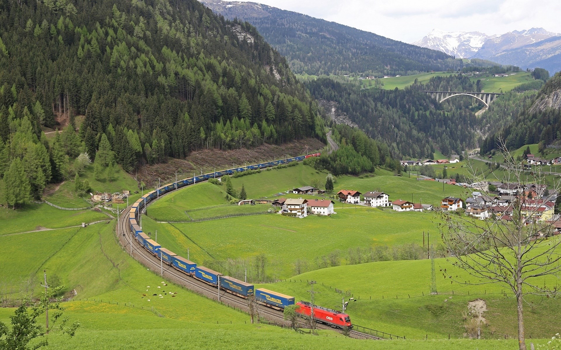 Train traveling through a green valley with mountains HD Wallpaper