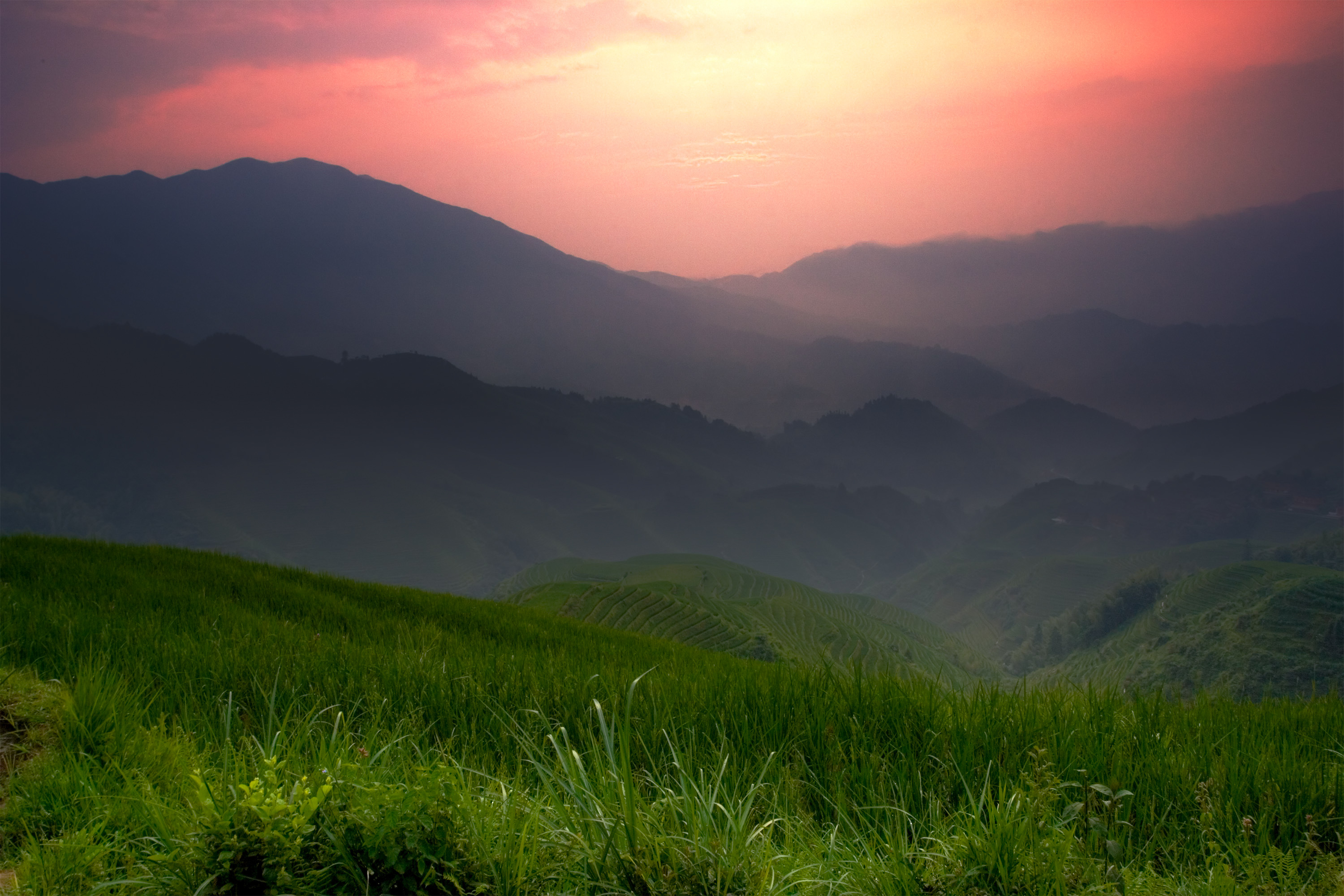 Terraced rice fields and mountains at sunset HD Wallpaper