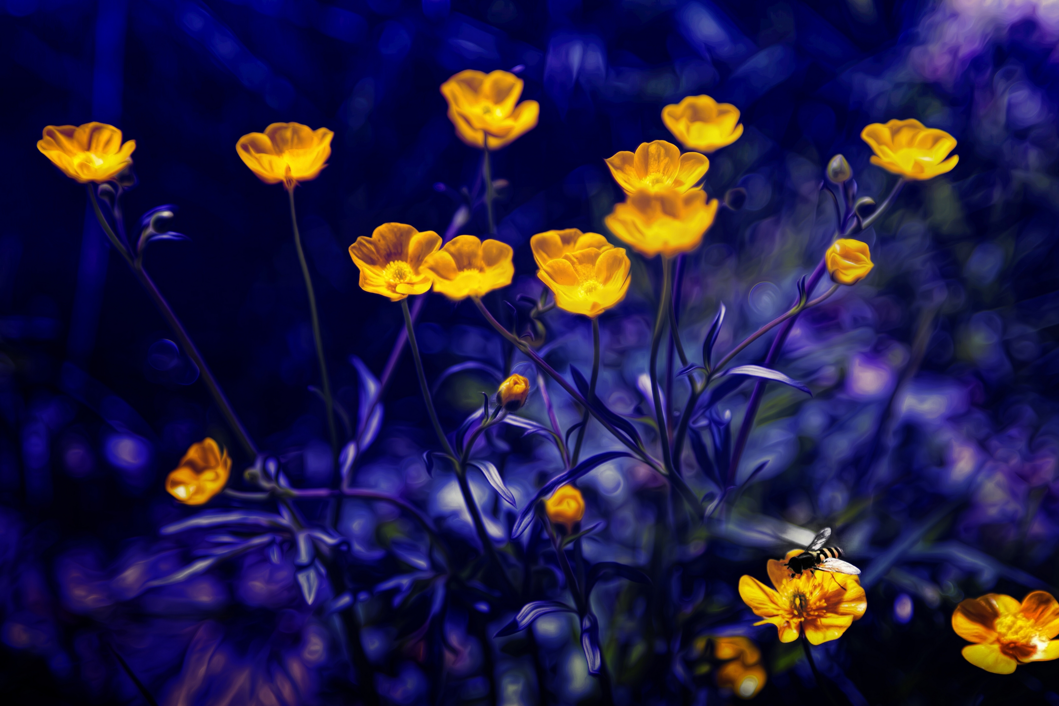 Yellow flowers with a bee, 4K HD Wallpaper