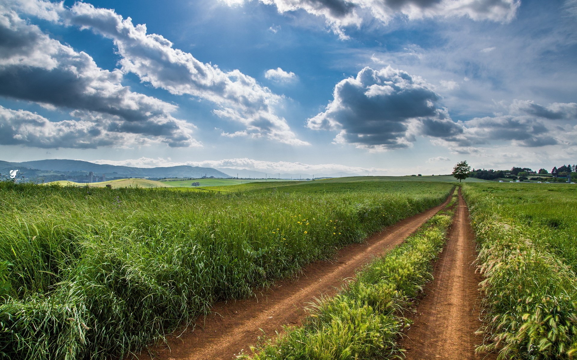 Dirt road through green fields under a cloudy sky HD Wallpaper