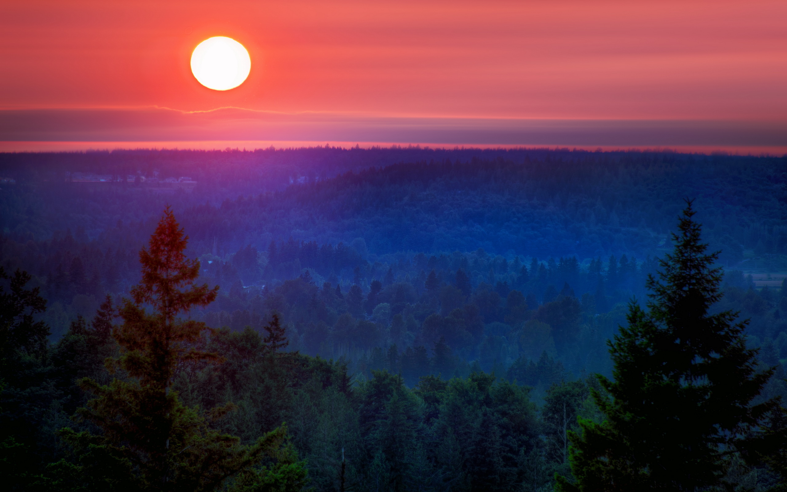 Sunset over a forest landscape HD Wallpaper