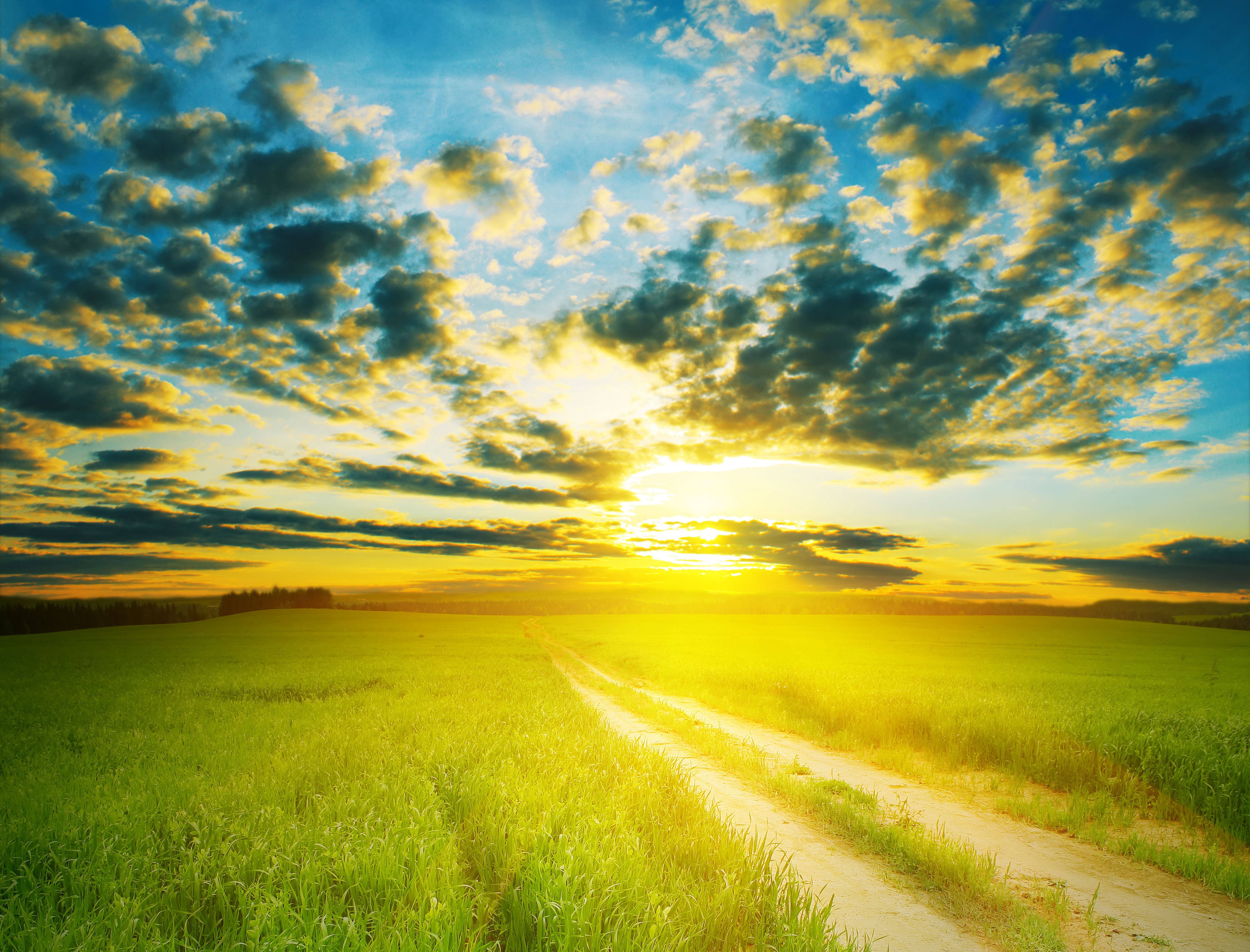 Sunrise over a green field with a dirt path HD Wallpaper