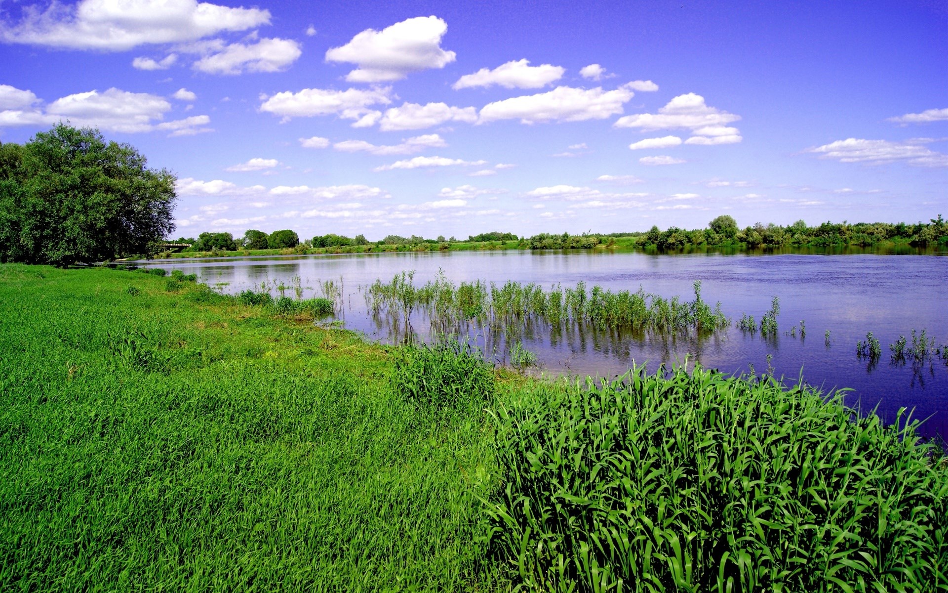 River landscape with green grass and blue sky HD Wallpaper