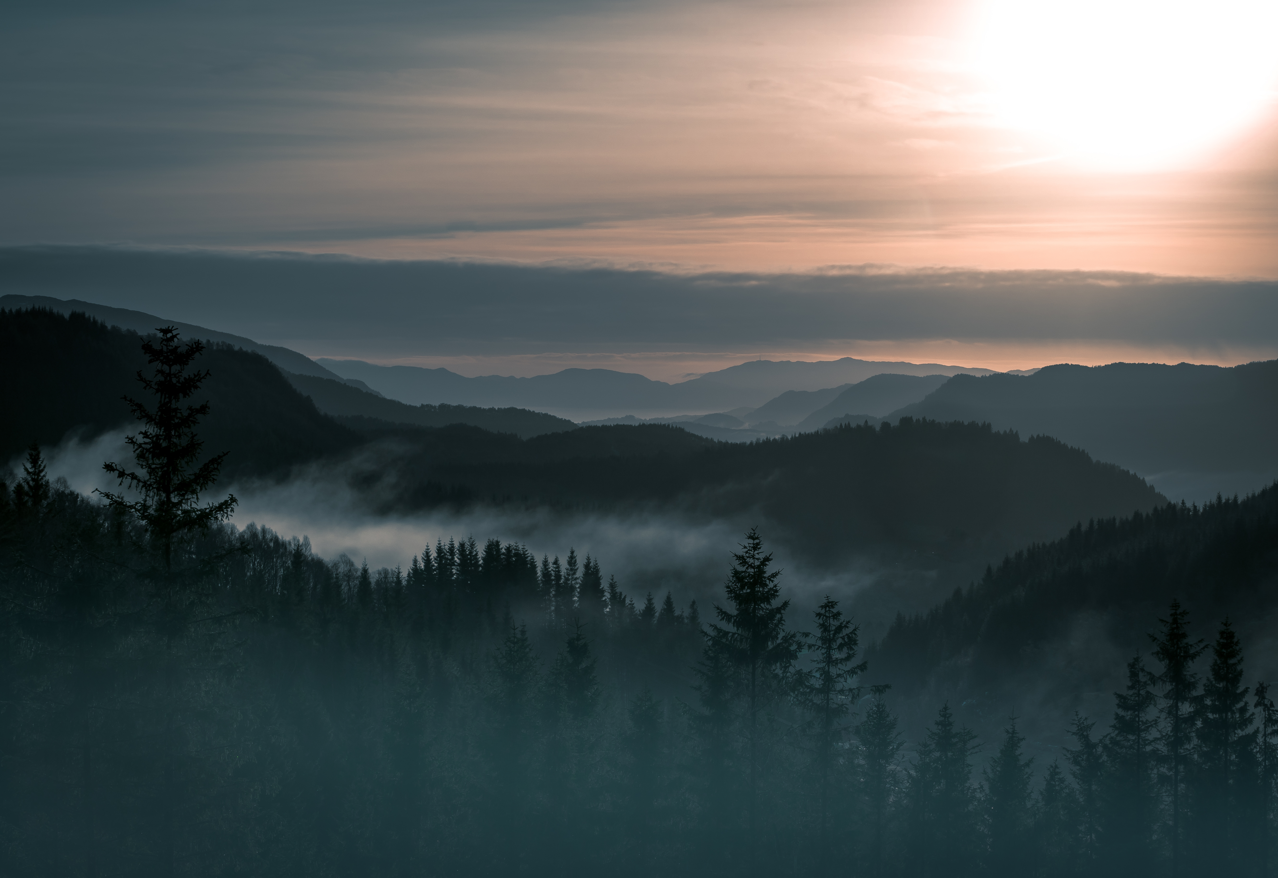 4K Norway Mountains Fog Forest HD Wallpaper
