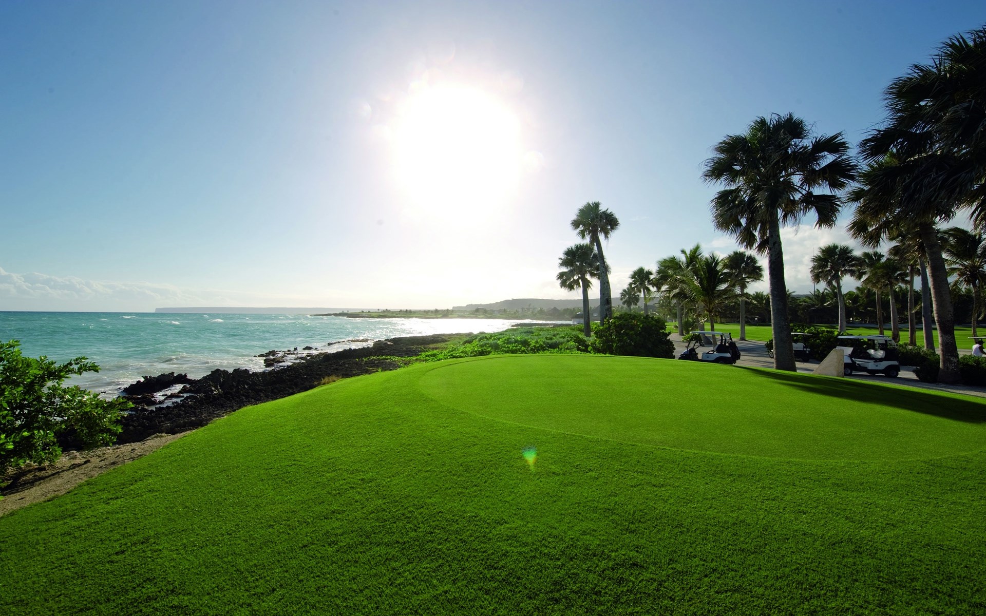 Golf course by the ocean with palm trees and golf carts HD Wallpaper