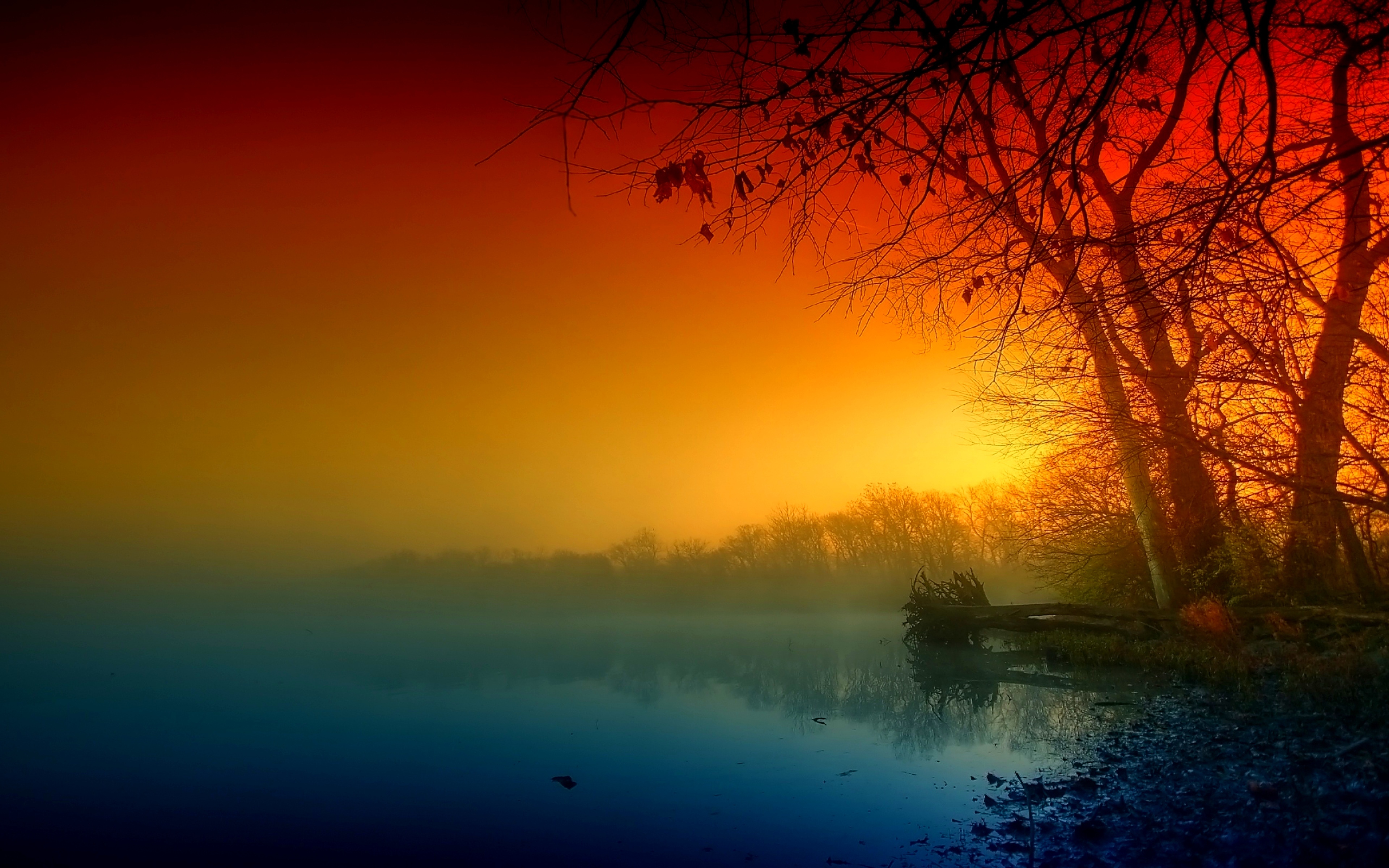 Mystic river at dawn with trees HD Wallpaper