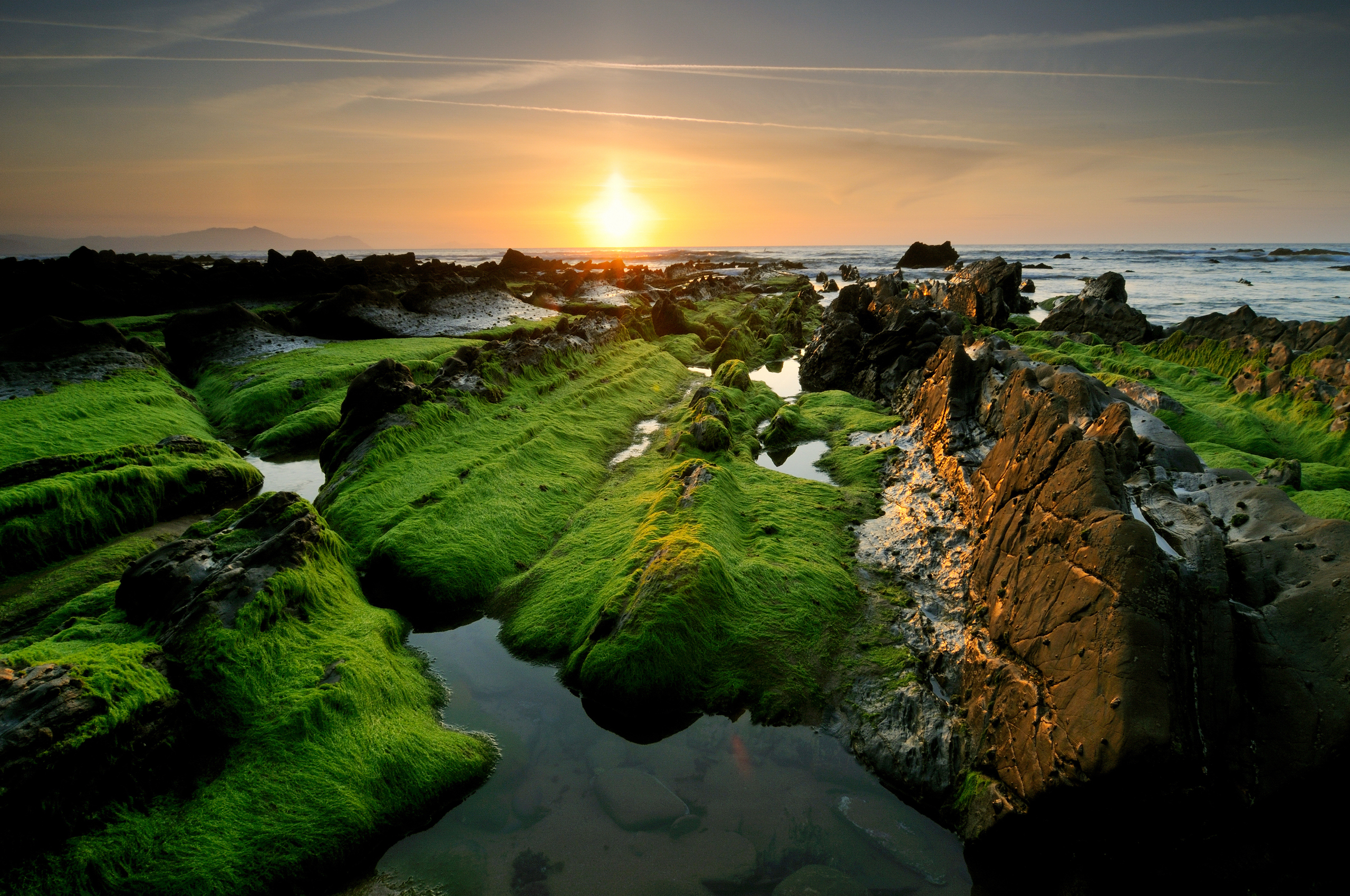 Rocky coastline with green algae at sunset HD Wallpaper
