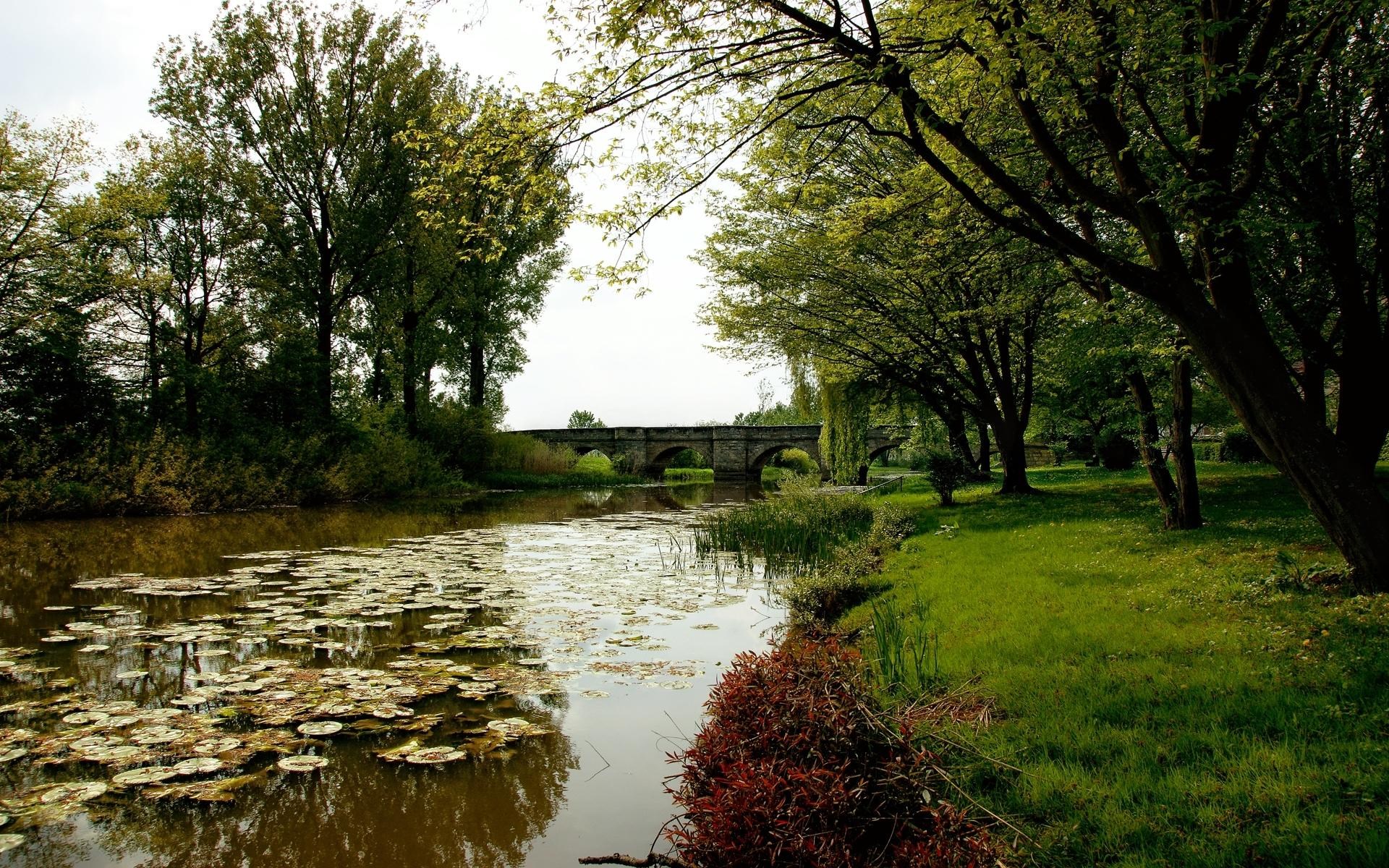Stone bridge over a river with lily pads and trees HD Wallpaper