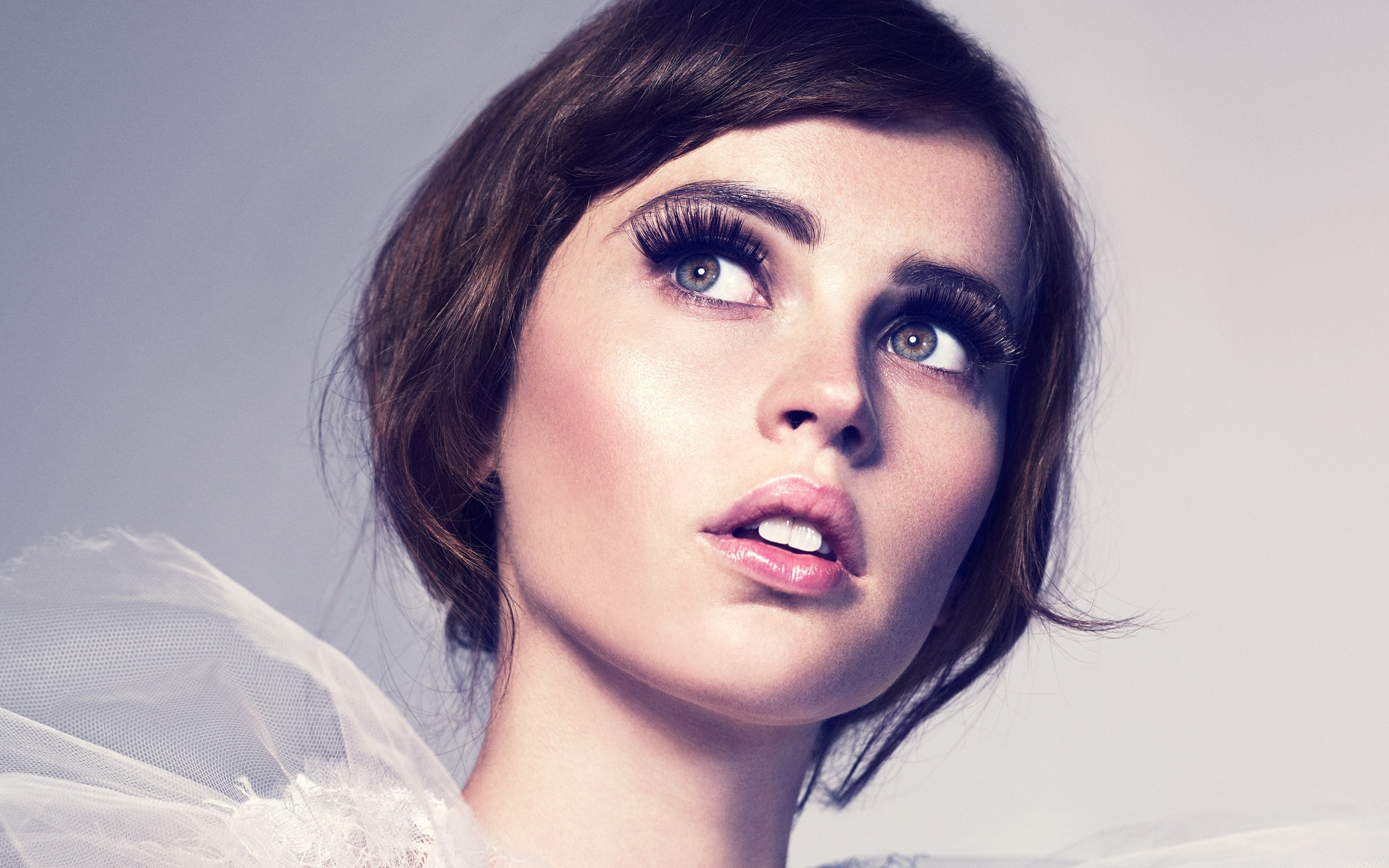 Felicity Jones HD Wallpaper
