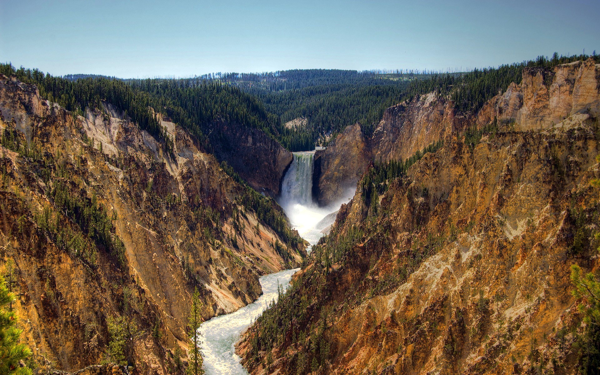 Waterfall in a canyon with pine trees HD Wallpaper