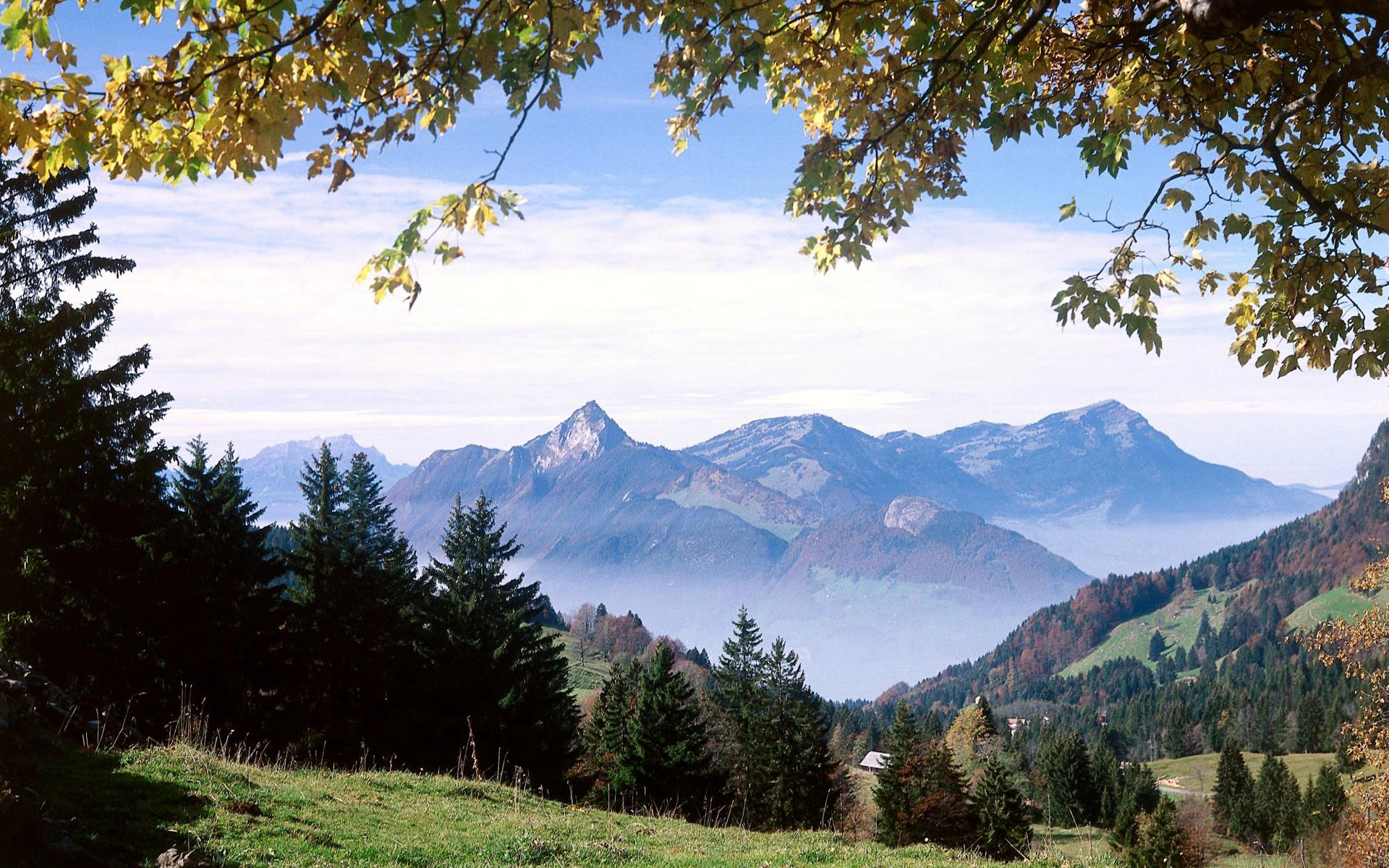 Mountain landscape with trees and foliage HD Wallpaper