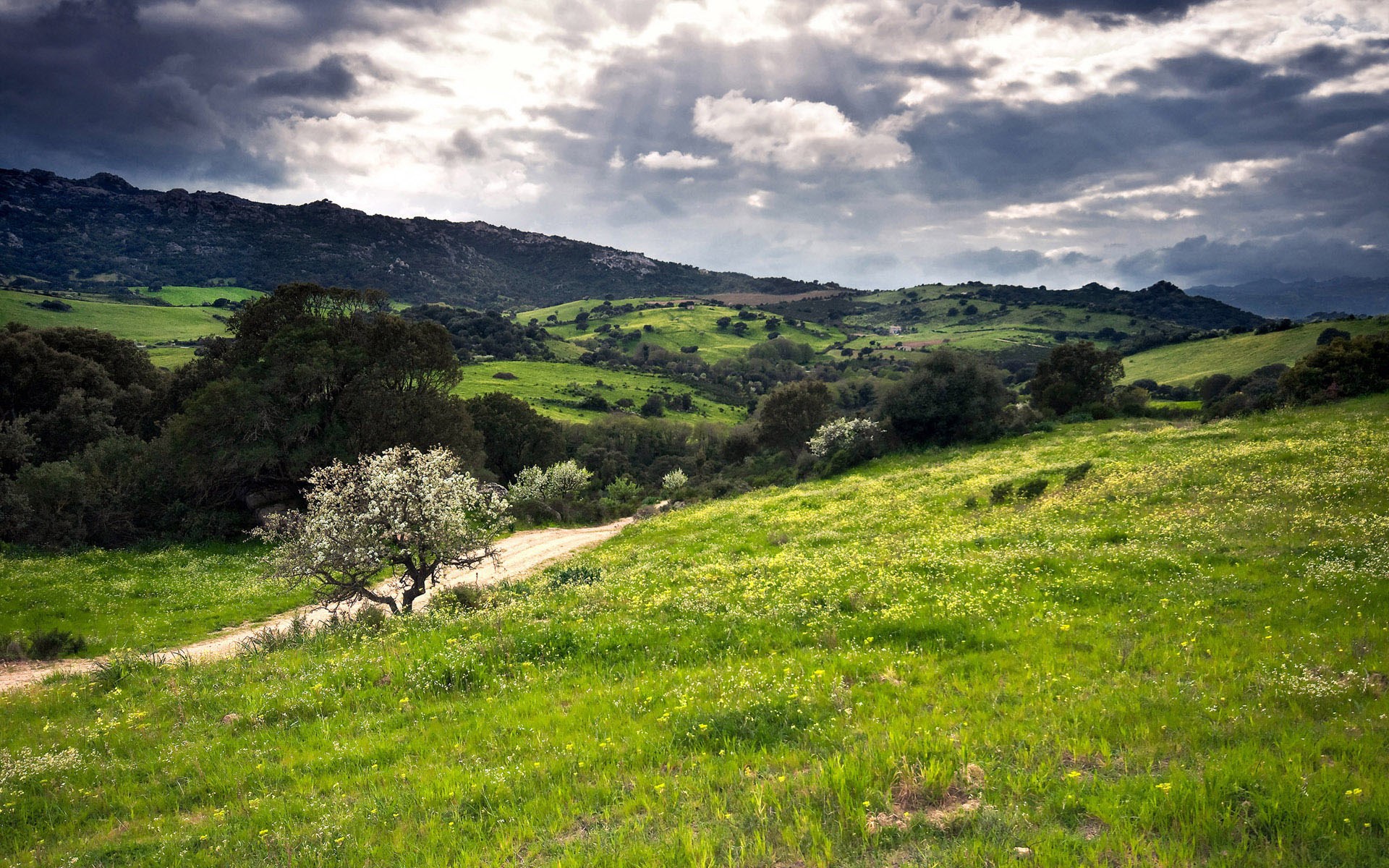 A dirt road winds through a green, hilly landscape under a cloudy sky. HD Wallpaper