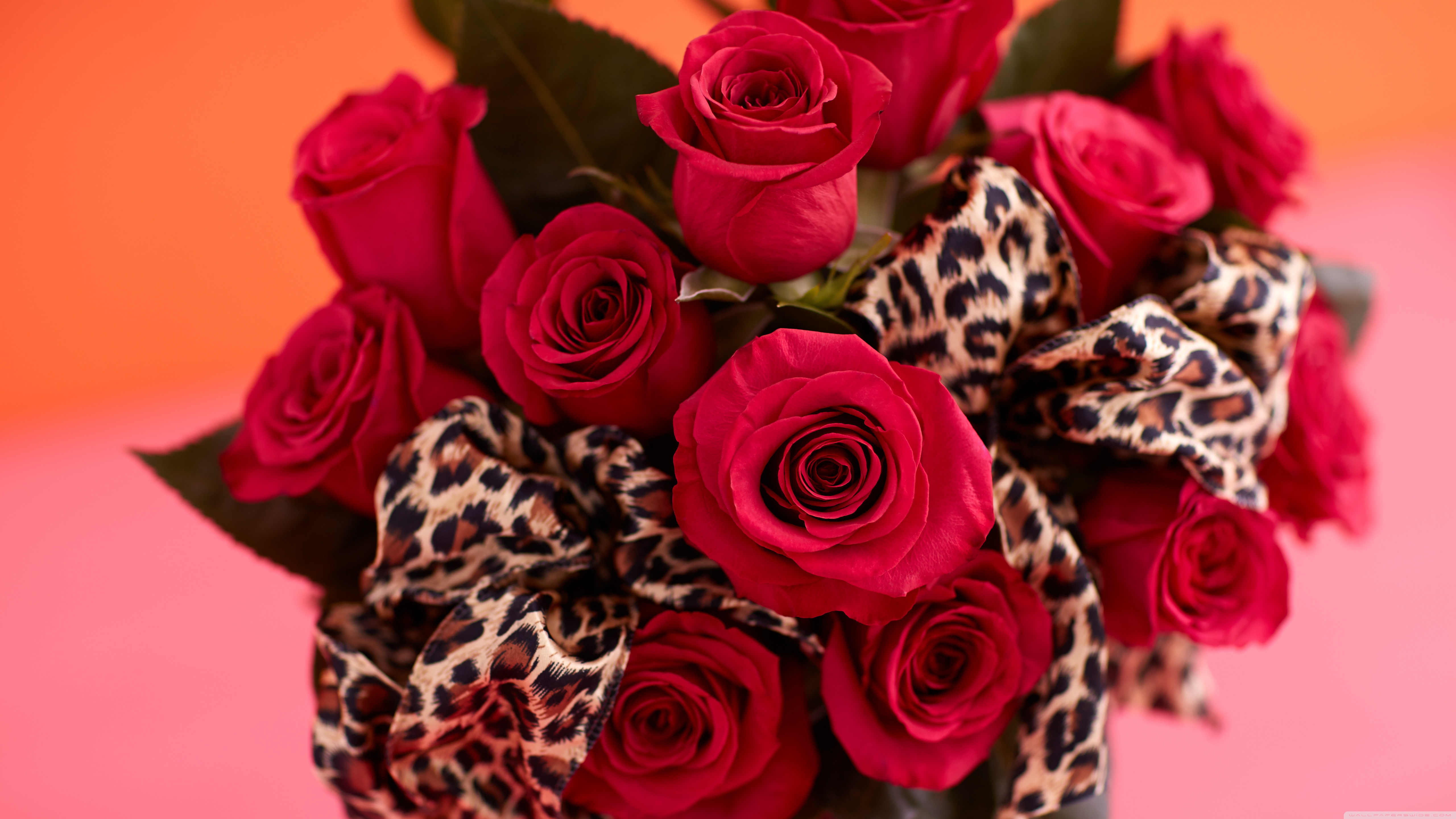 Bouquet of Red Roses with Leopard Print Ribbon HD Wallpaper