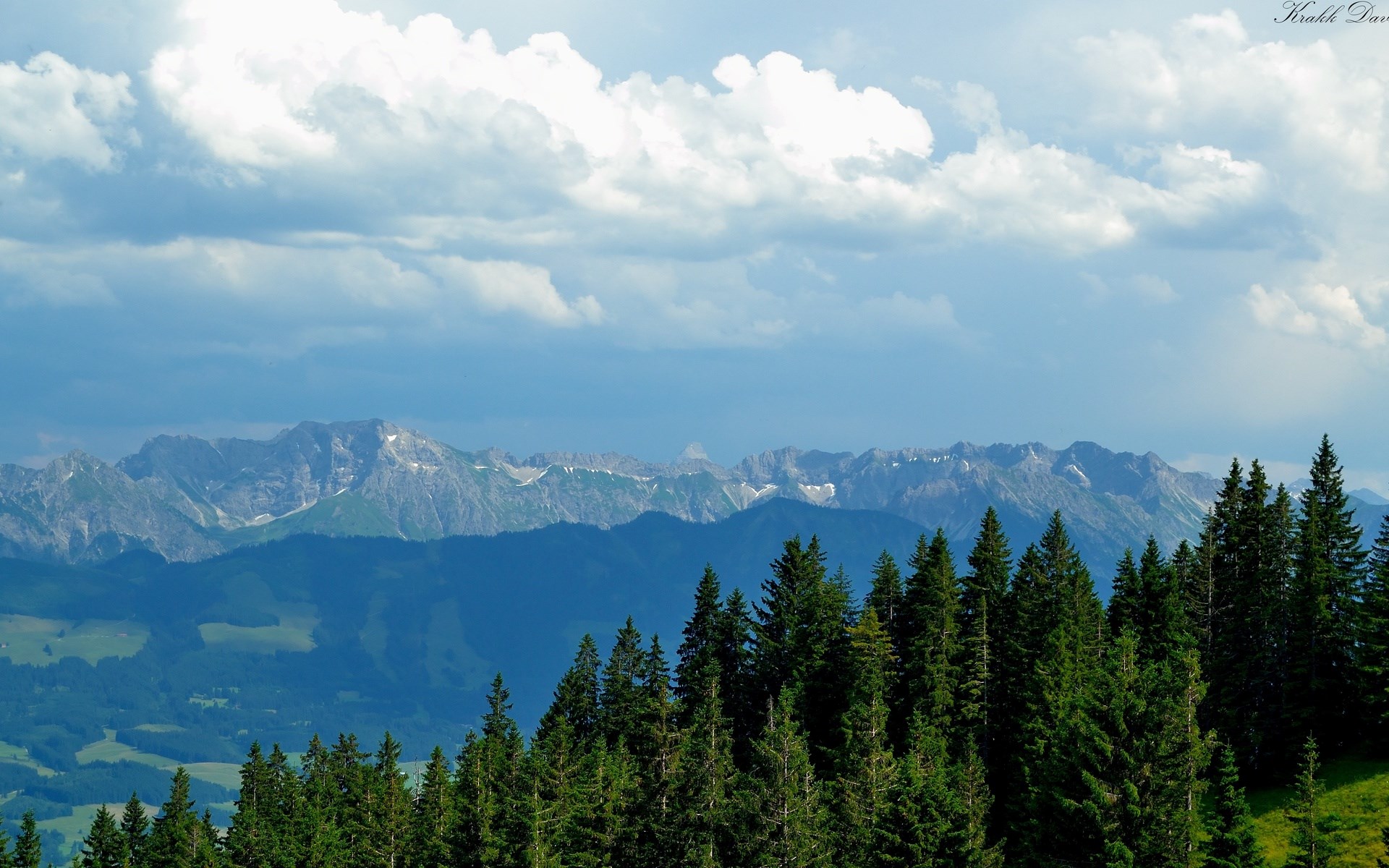 Mountain Range with Pine Forest and Clouds HD Wallpaper