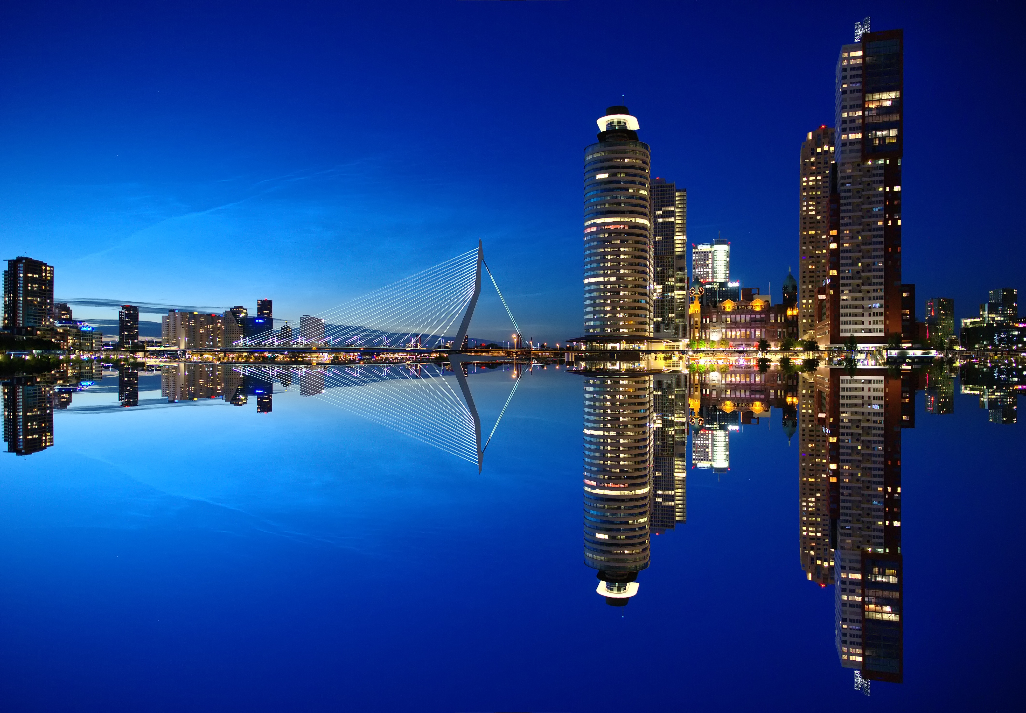 Rotterdam Nightscape with Erasmus Bridge and Skyscrapers HD Wallpaper