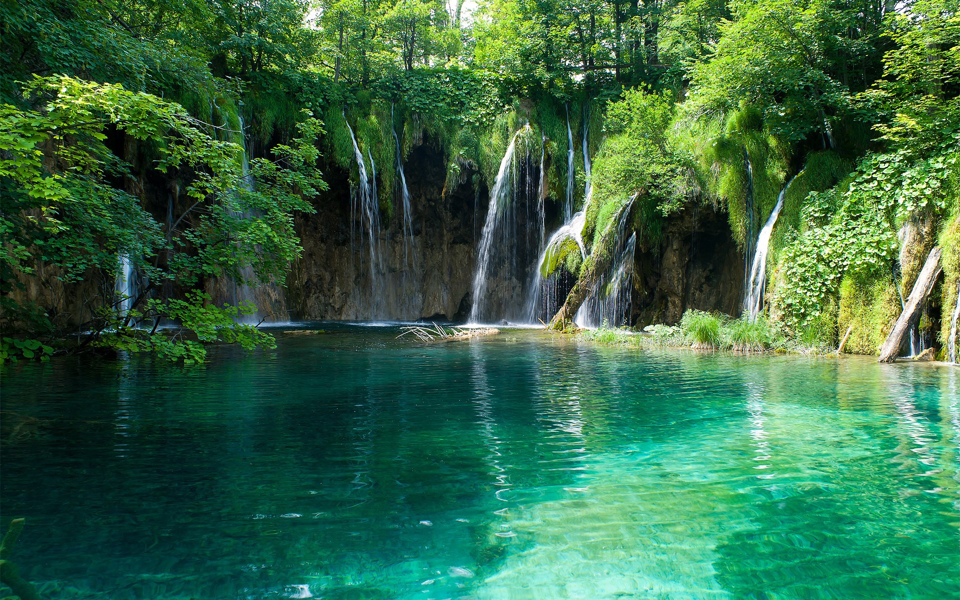 Waterfalls cascading into a clear turquoise lake in a forest HD Wallpaper