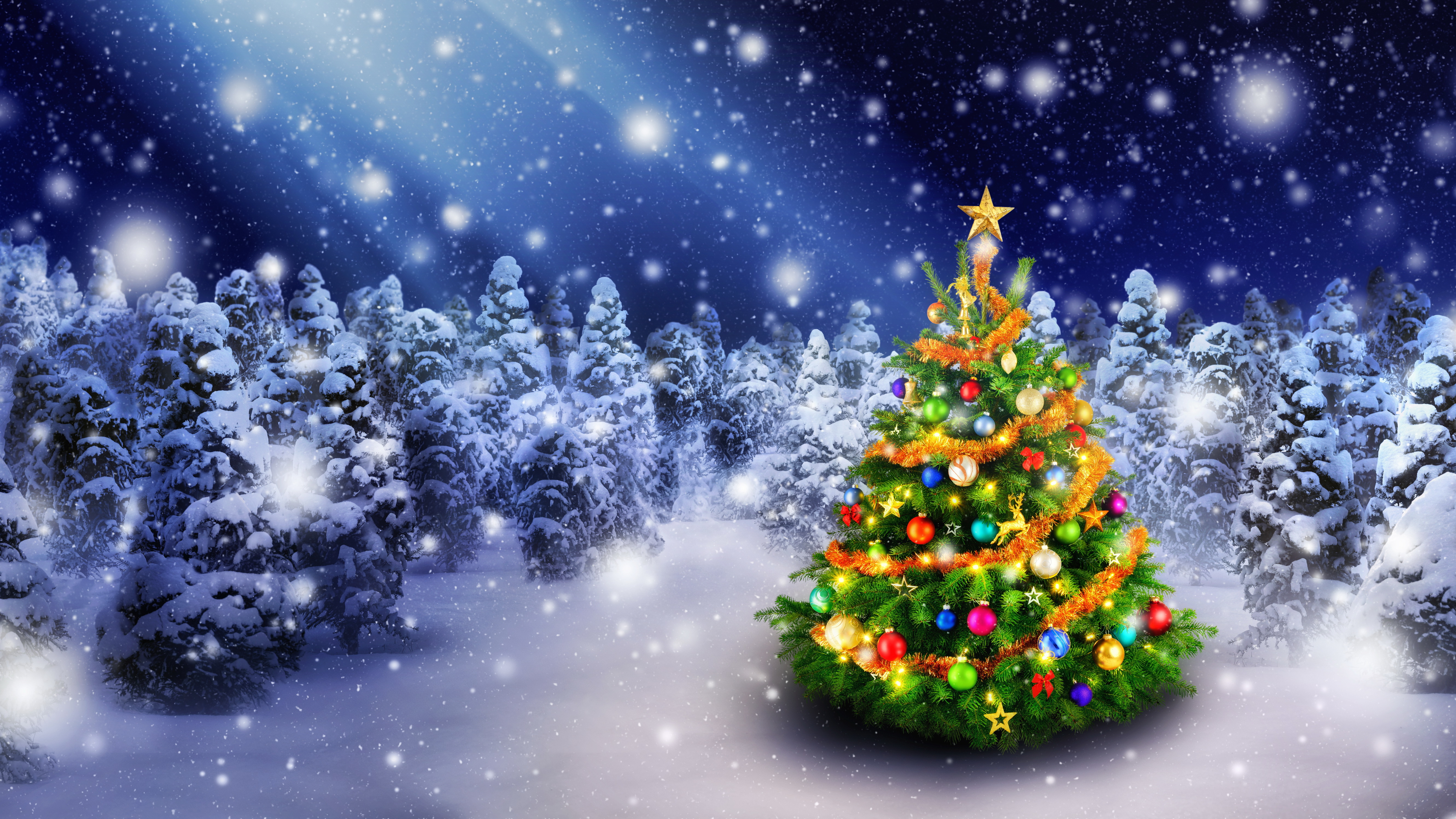 Decorated Christmas tree in a snowy forest at night HD Wallpaper