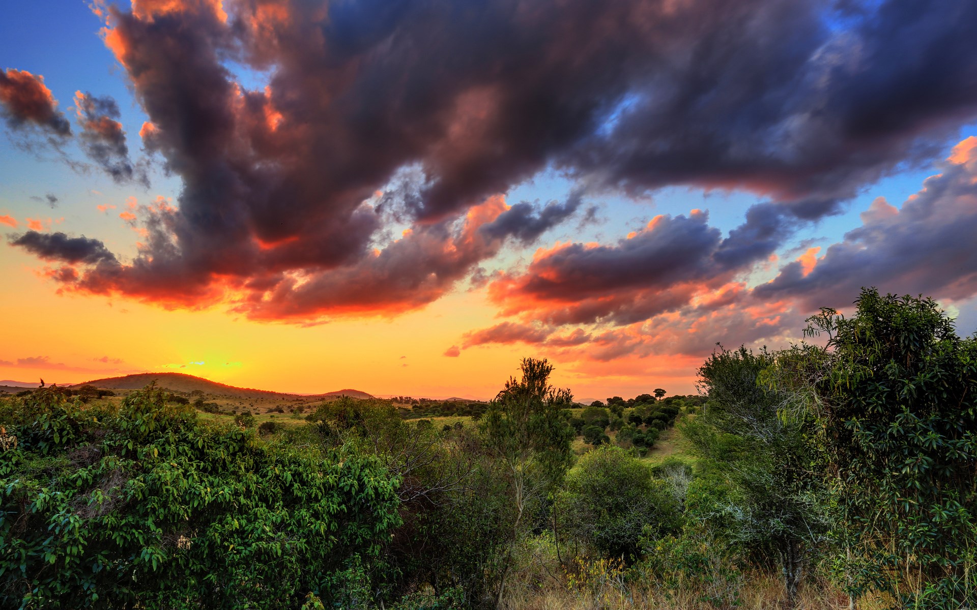 Sunset over a savanna with dramatic clouds HD Wallpaper