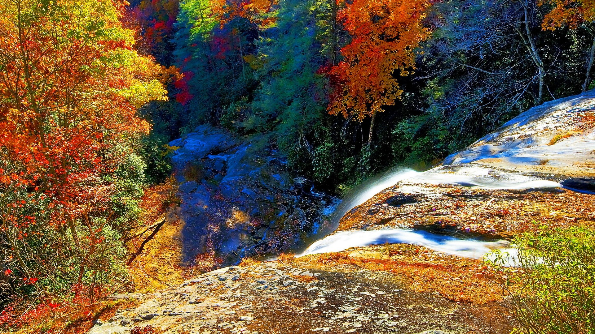 Waterfall in autumn forest with colorful foliage HD Wallpaper