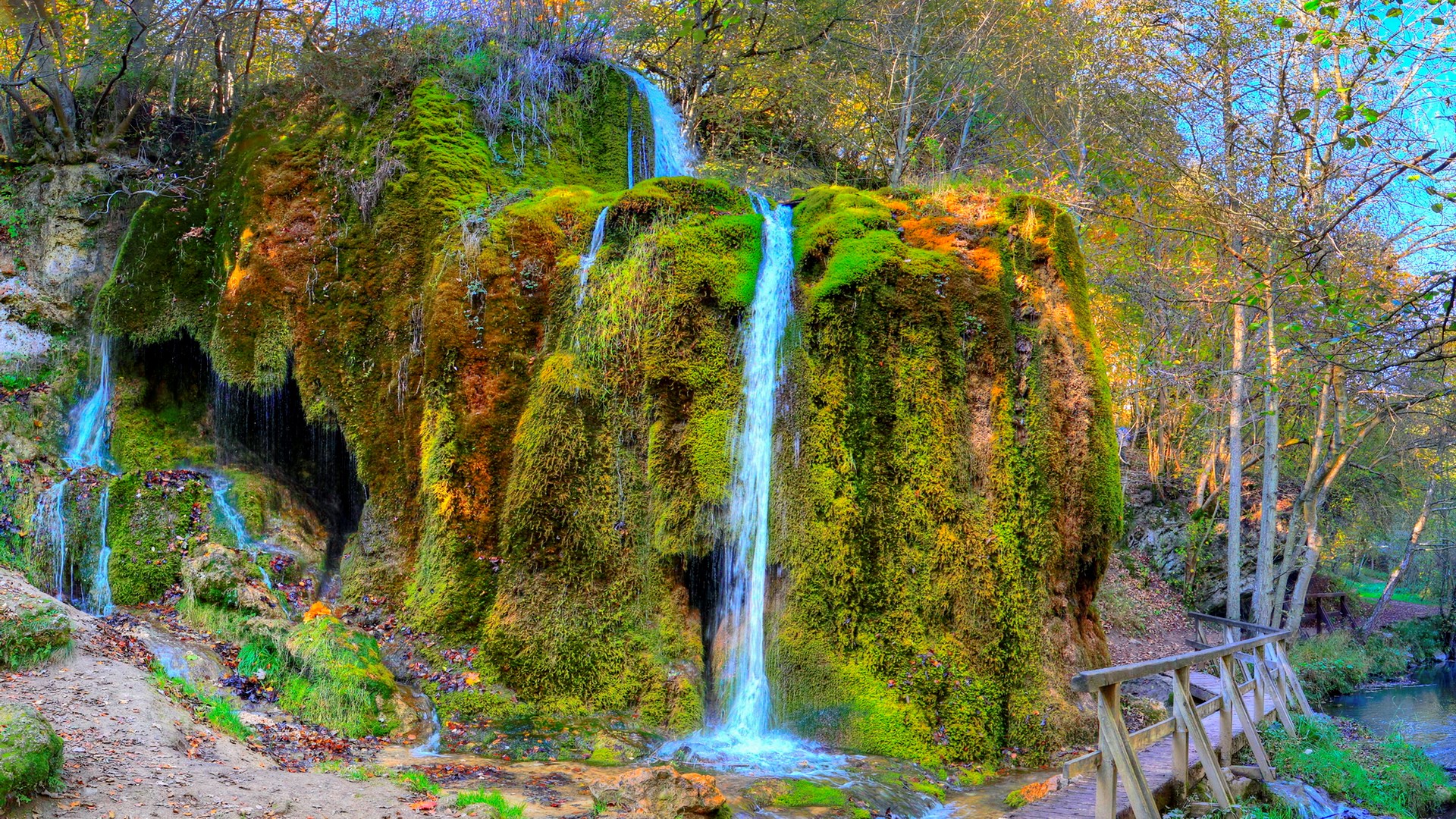 Moss-covered waterfall with wooden bridge in forest HD Wallpaper