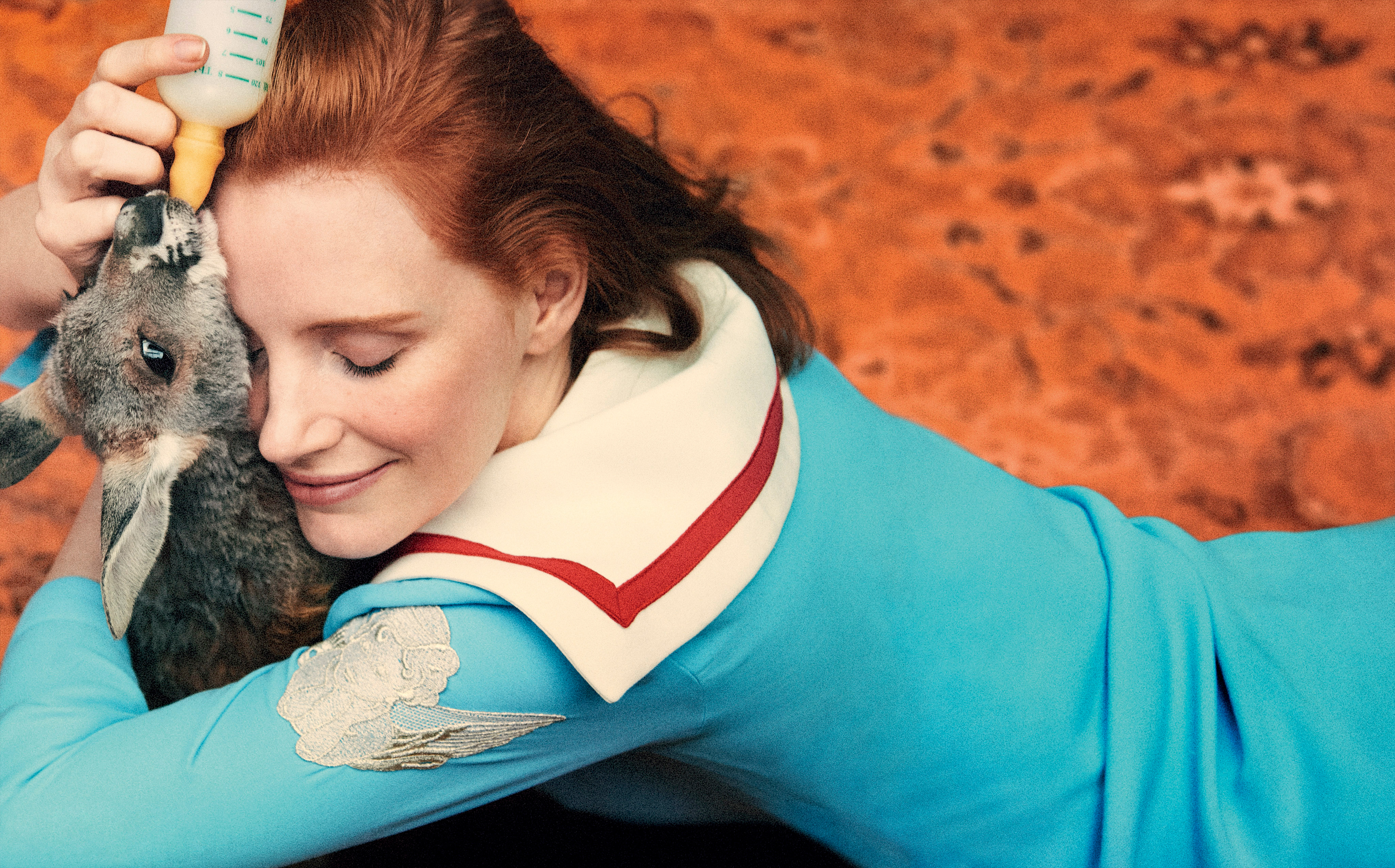 Jessica Chastain feeding a kangaroo HD Wallpaper