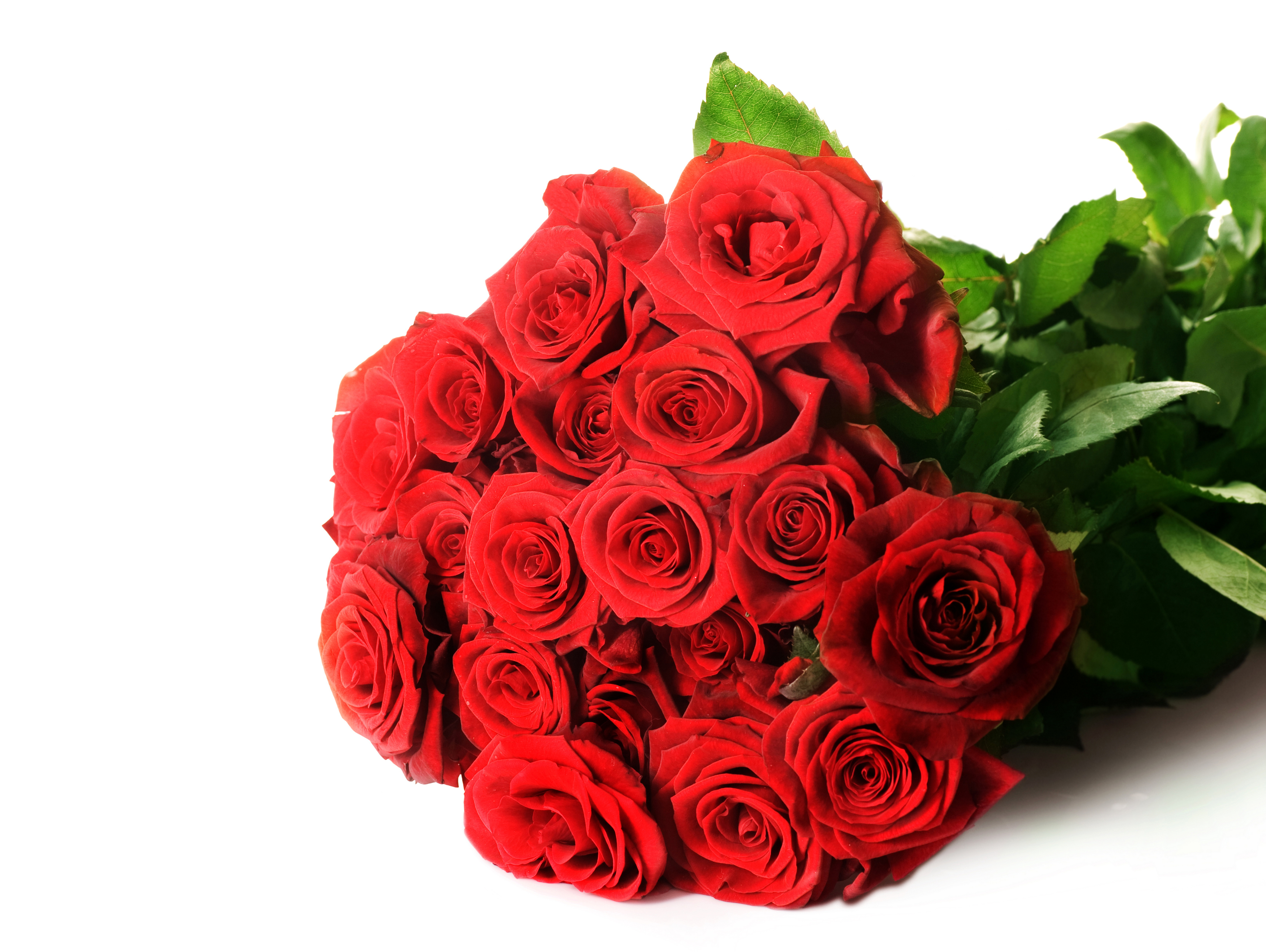 Bouquet of Red Roses HD Wallpaper