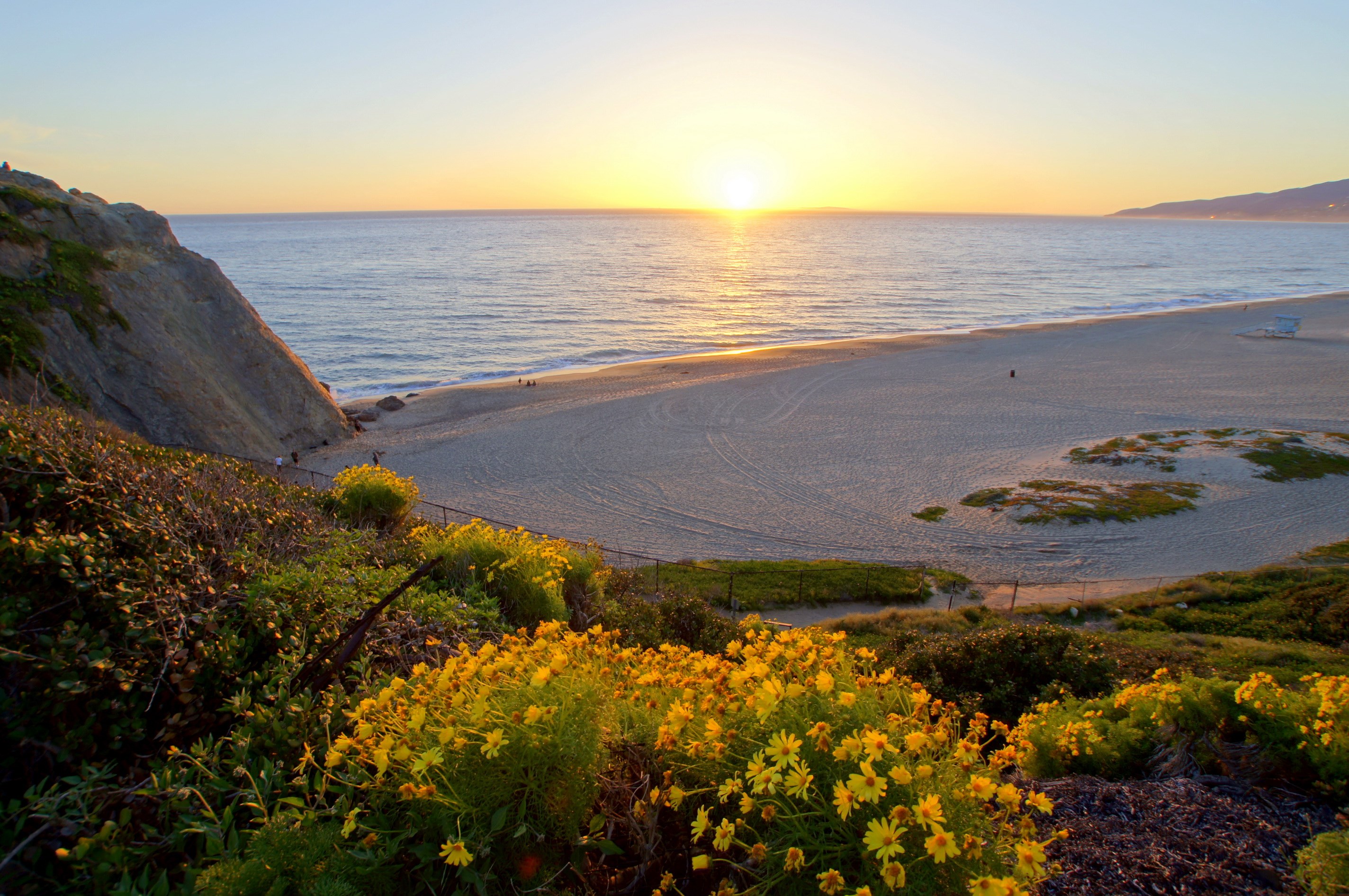 Sunset over a beach with wildflowers in the foreground HD Wallpaper