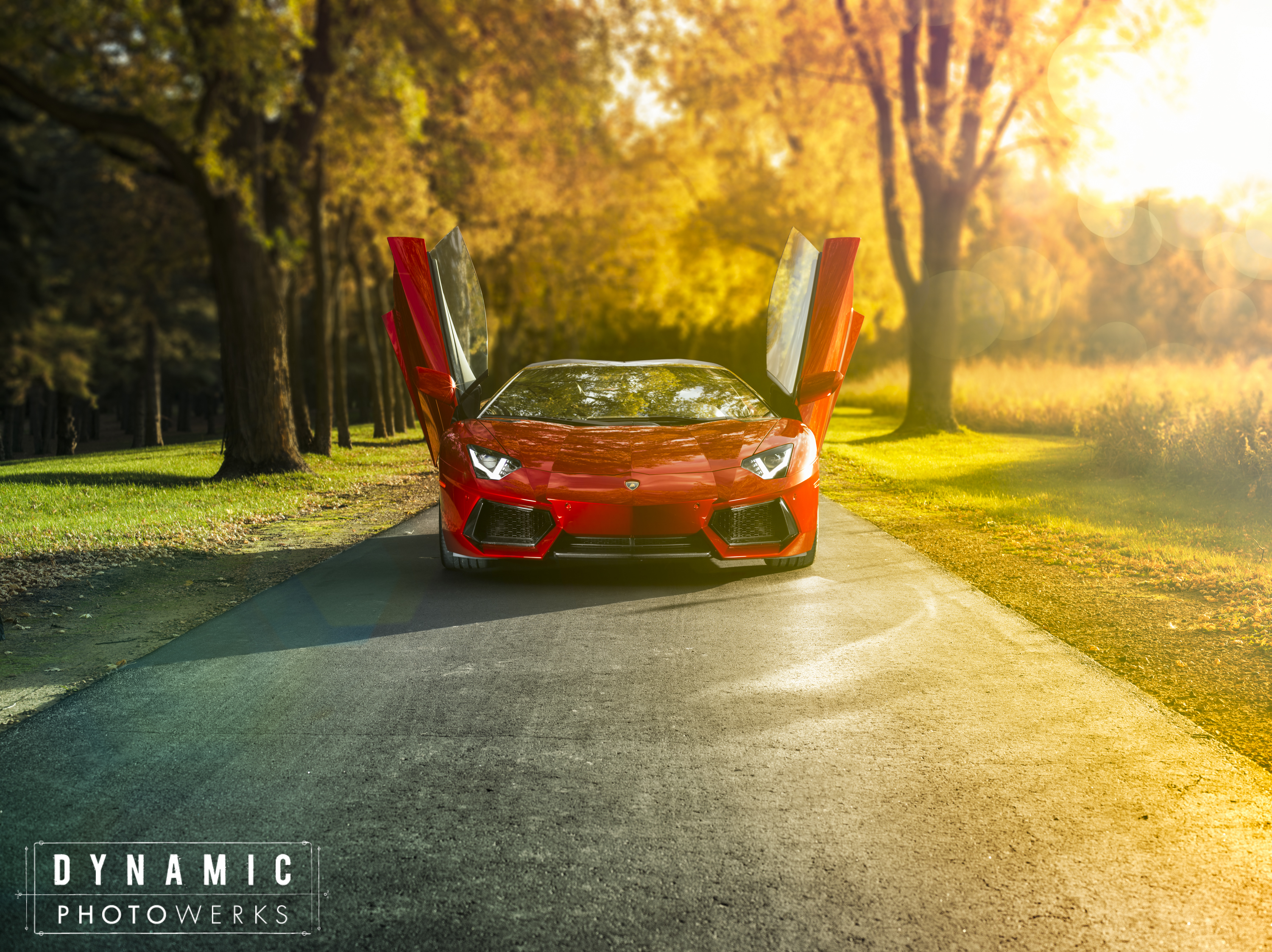 Red Lamborghini Aventador Roadster in Autumn HD Wallpaper