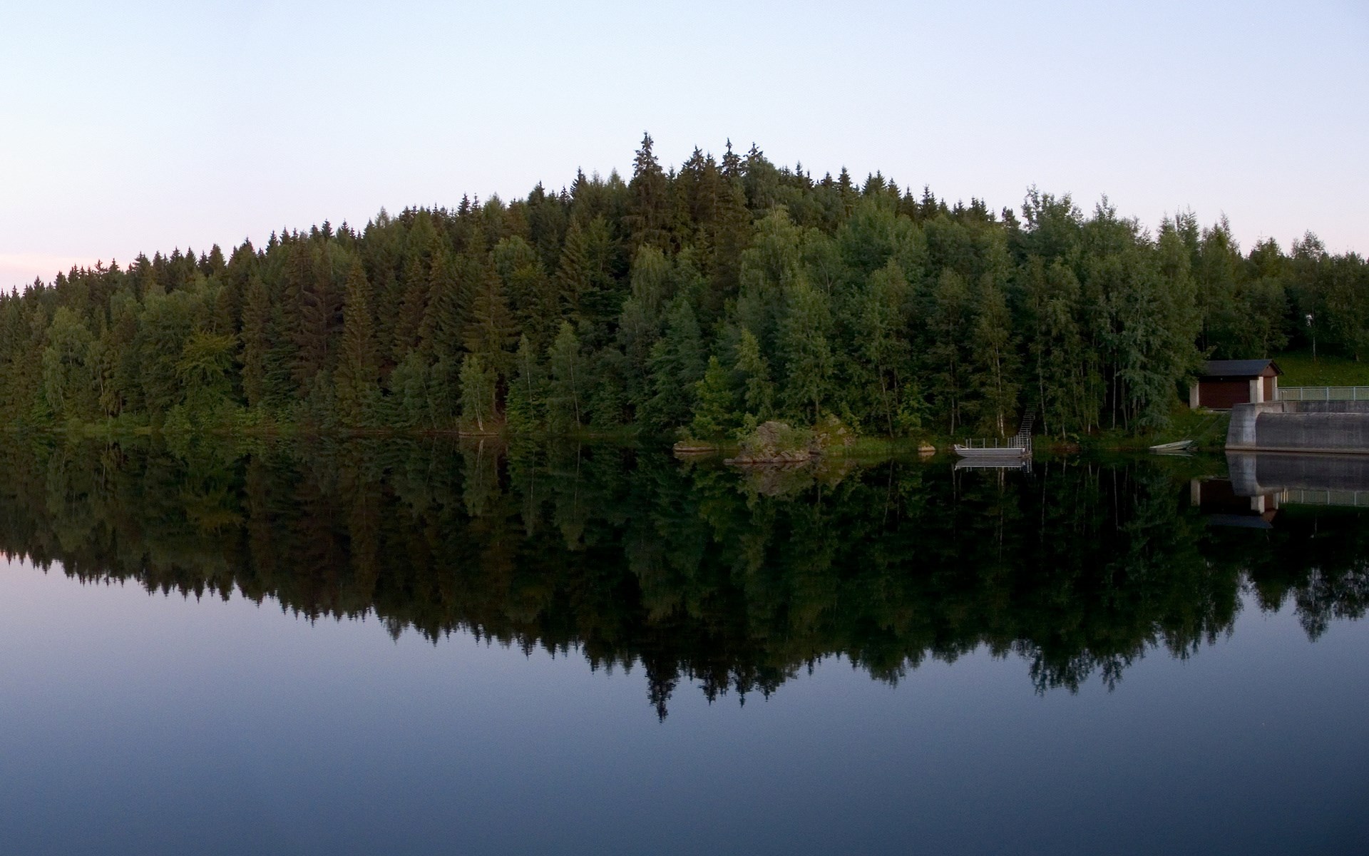 Forest reflected in a calm lake at dusk HD Wallpaper