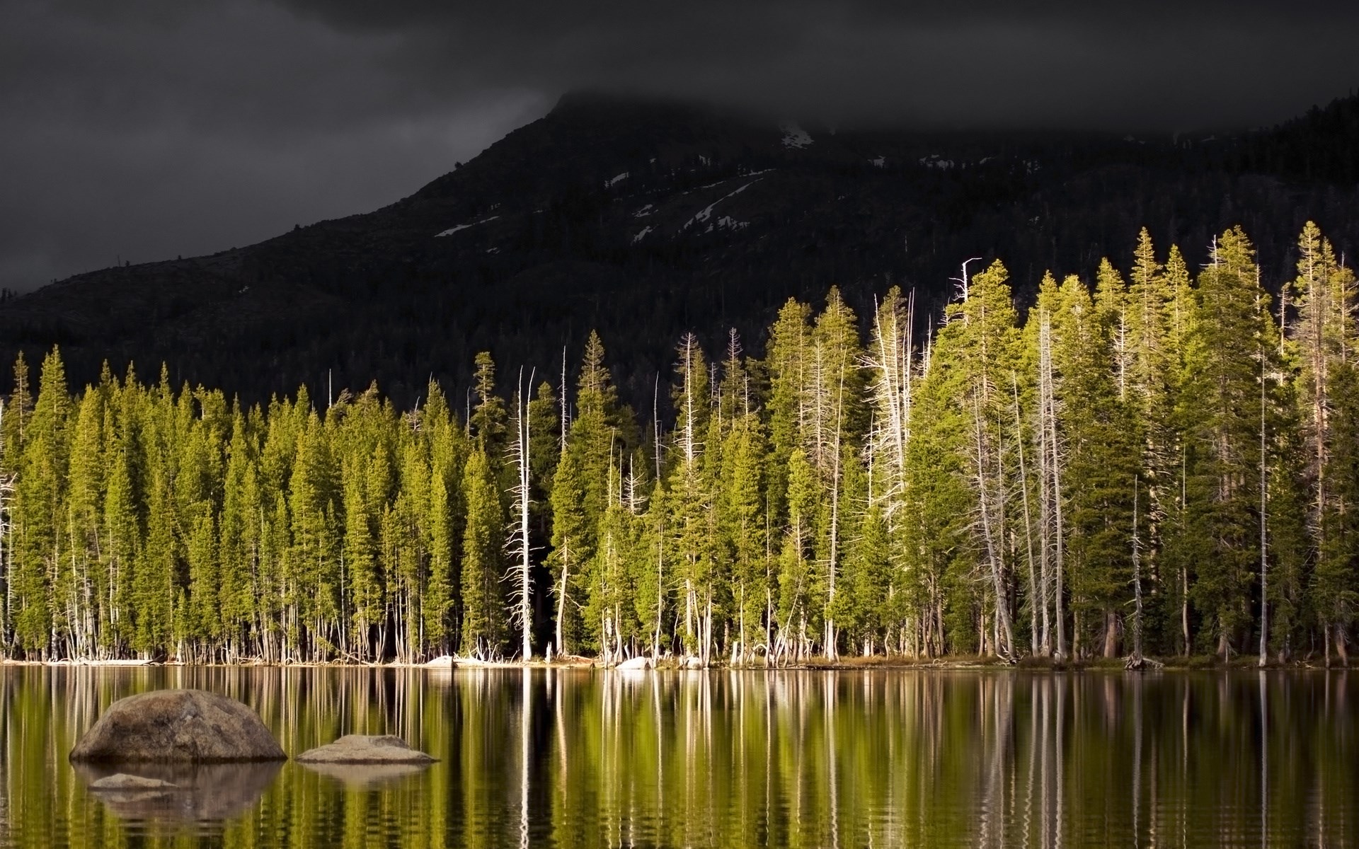 Forest lake with mountain and rocks HD Wallpaper